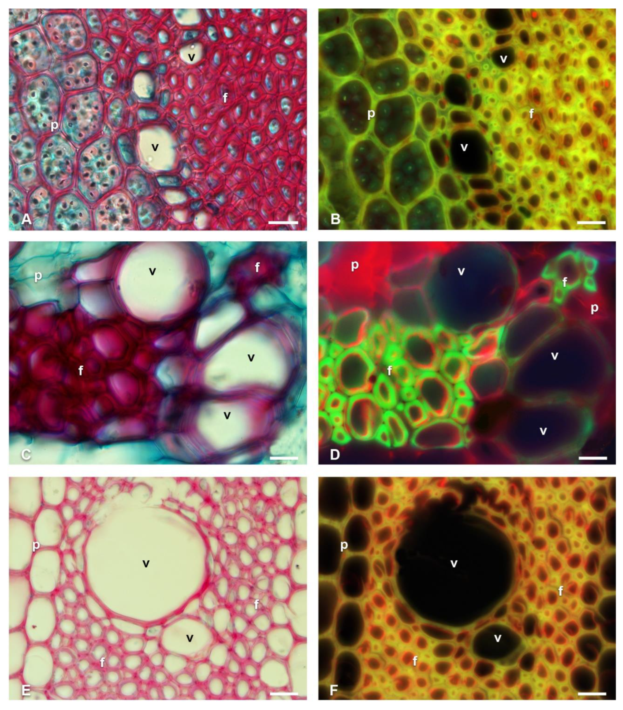 Polymers 14 04840 g003 Polymers 14 04840 g003