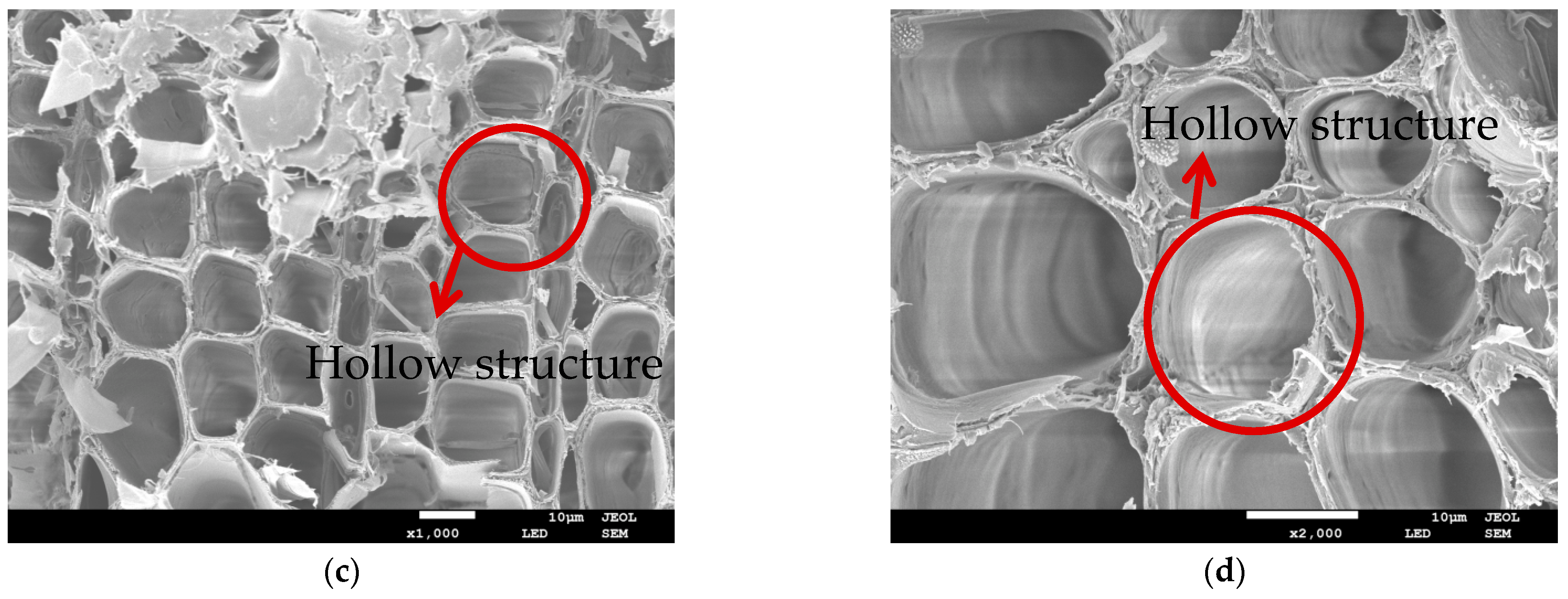 Polymers 14 04844 g006b Polymers 14 04844 g006b