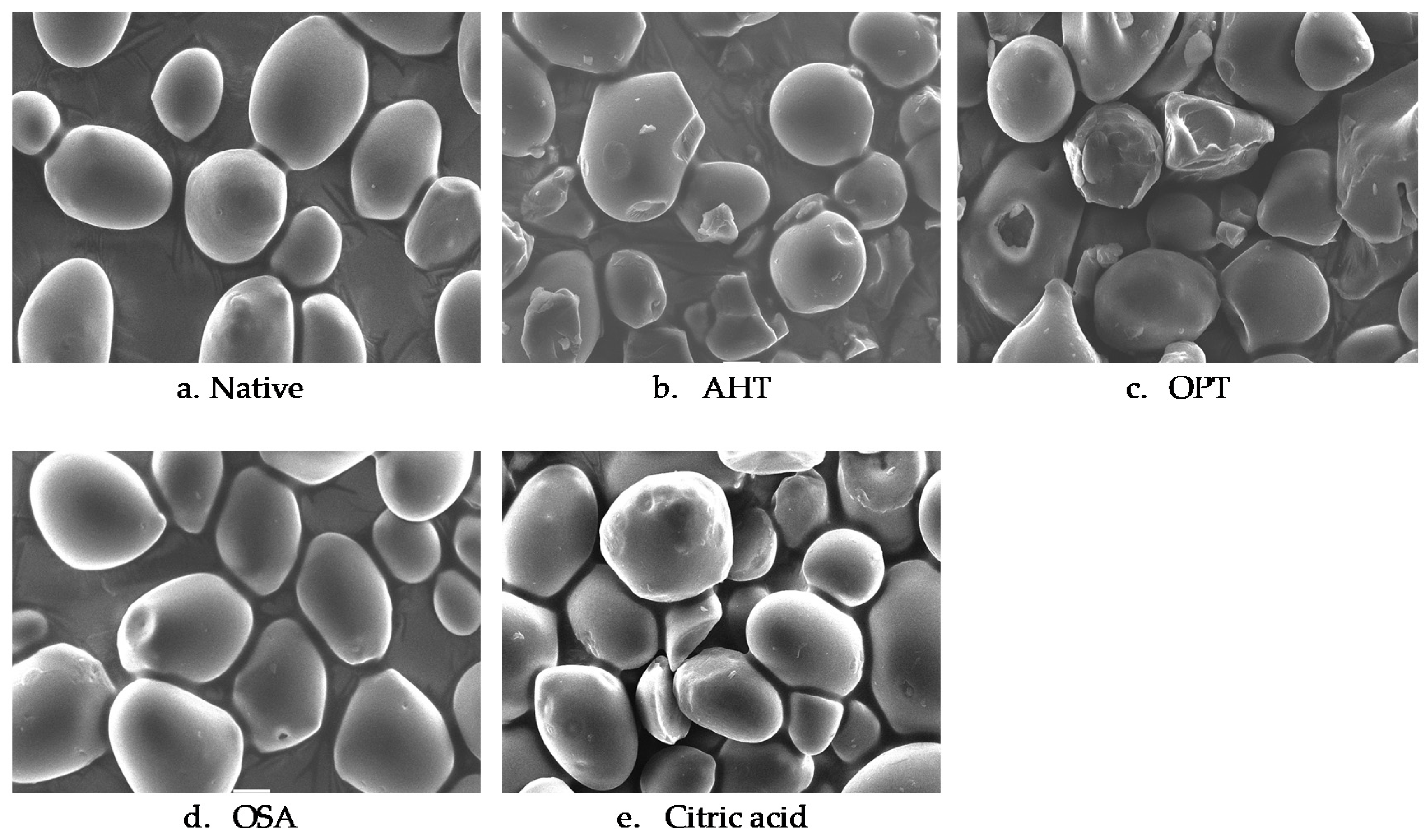 Polymers 14 04845 g001 Polymers 14 04845 g001