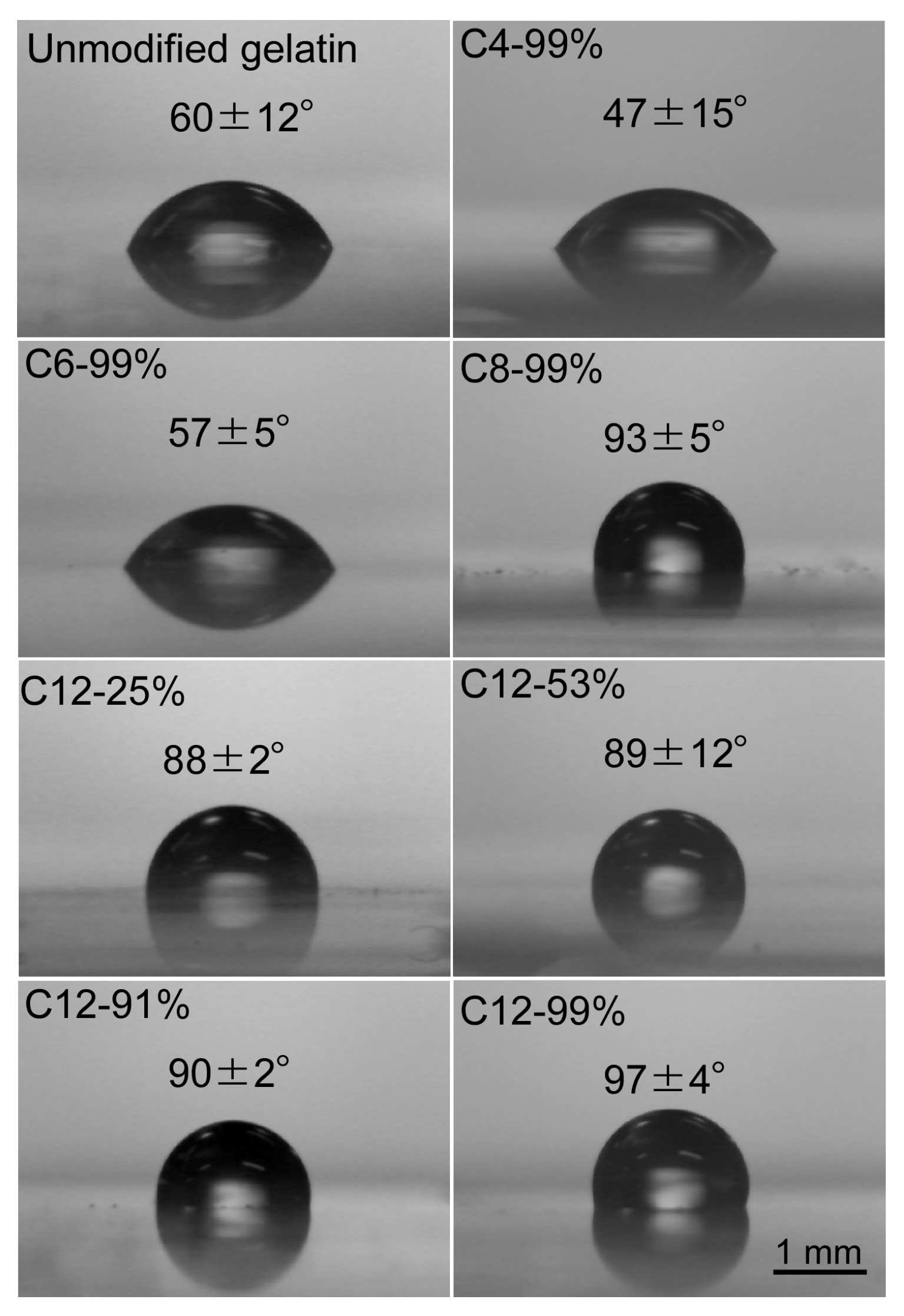 Polymers 14 04849 g001 Polymers 14 04849 g001