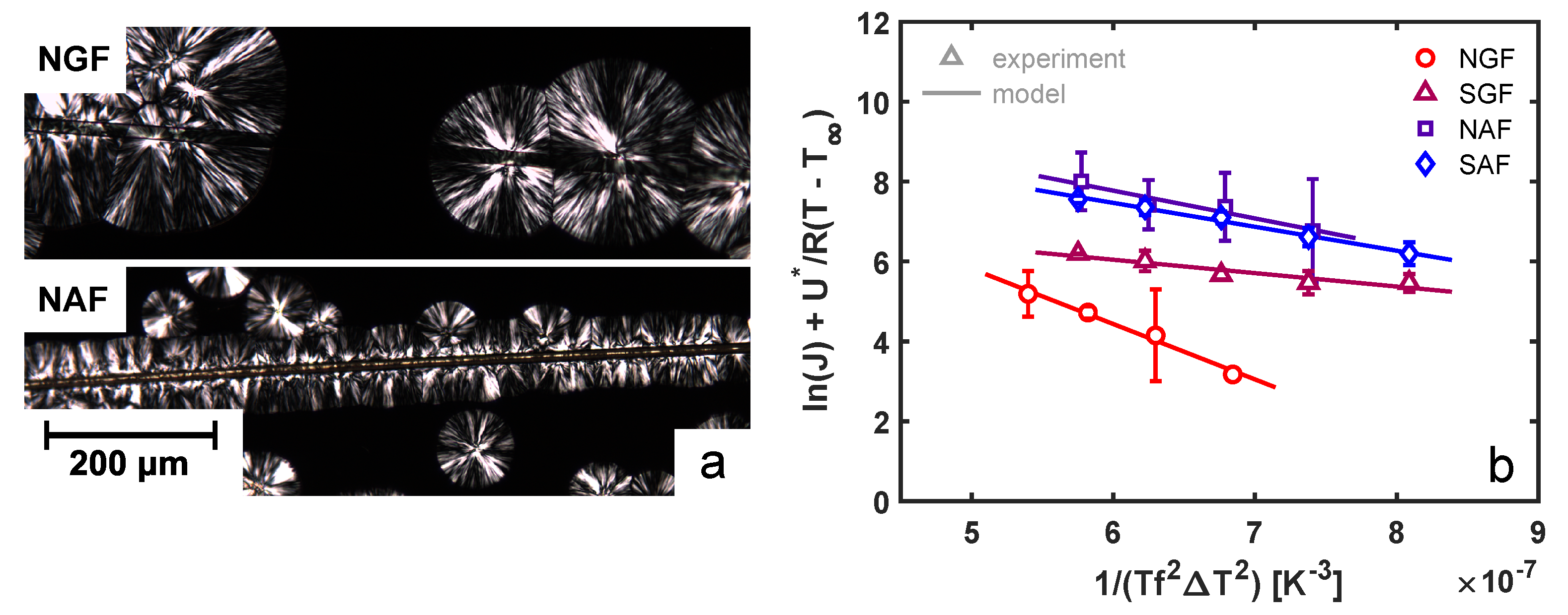 Polymers 14 04850 g005