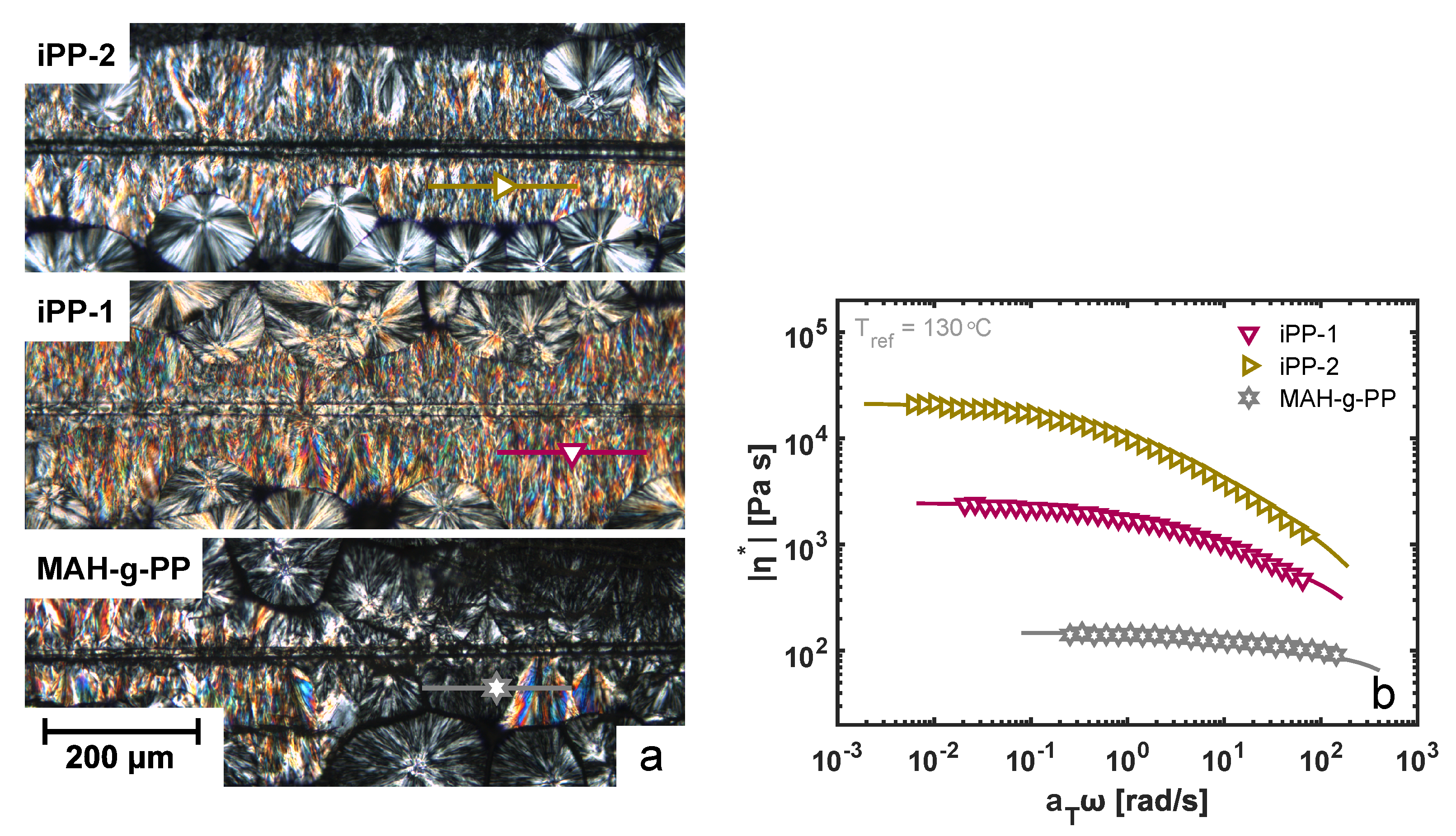 Polymers 14 04850 g006