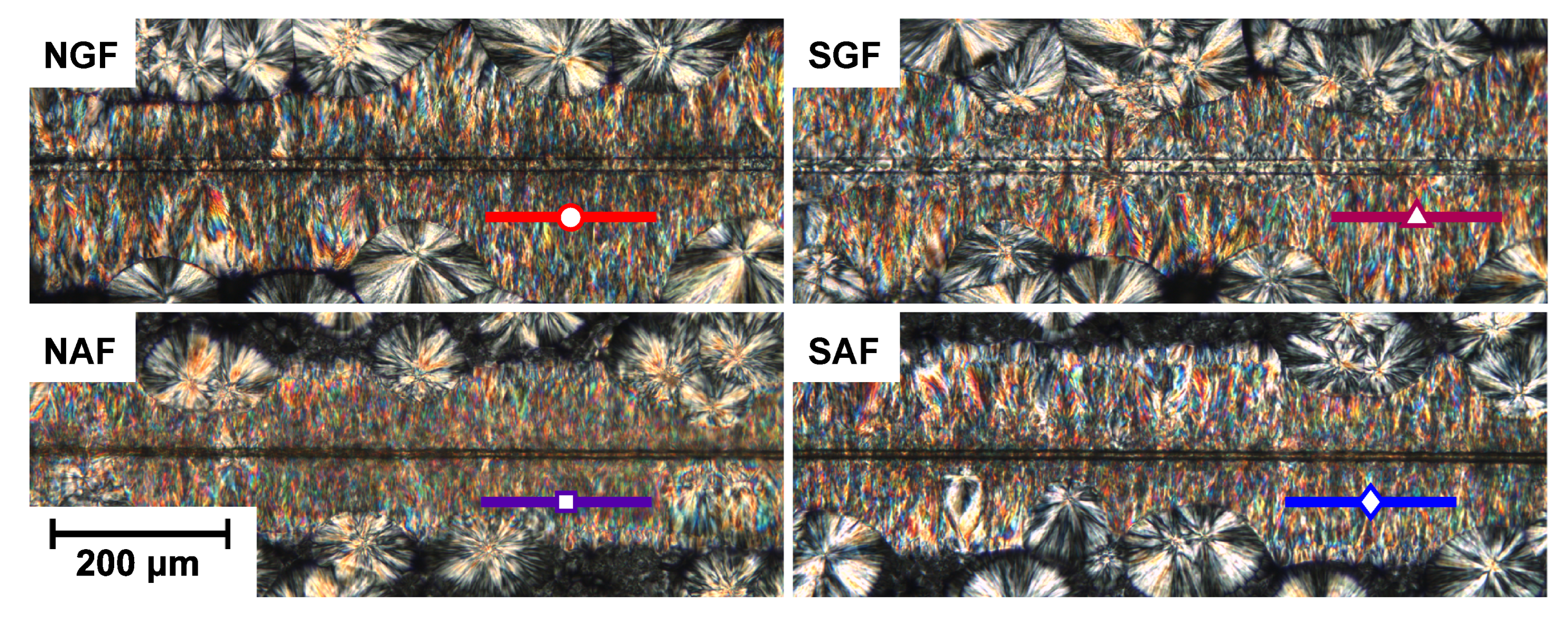 Polymers 14 04850 g008
