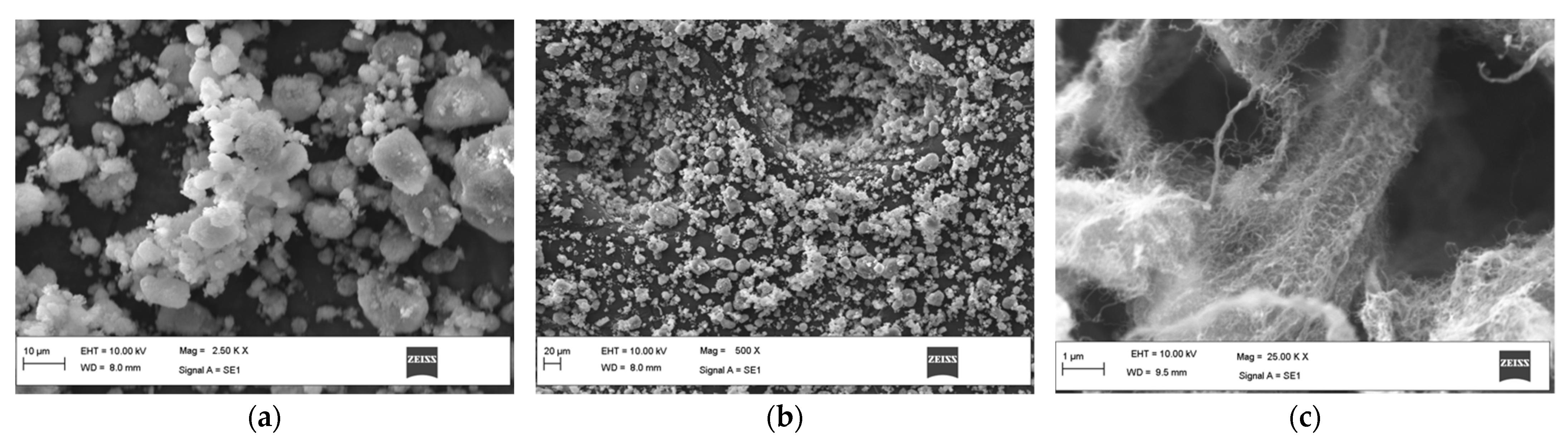 Polymers 14 04852 g002