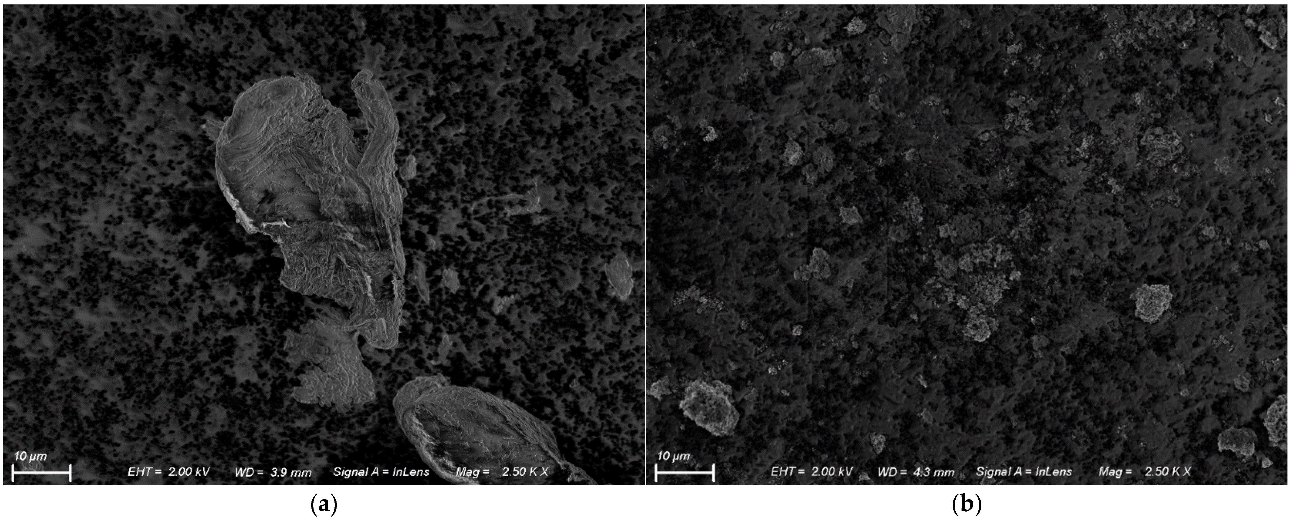 Polymers 14 04854 g004 Polymers 14 04854 g004