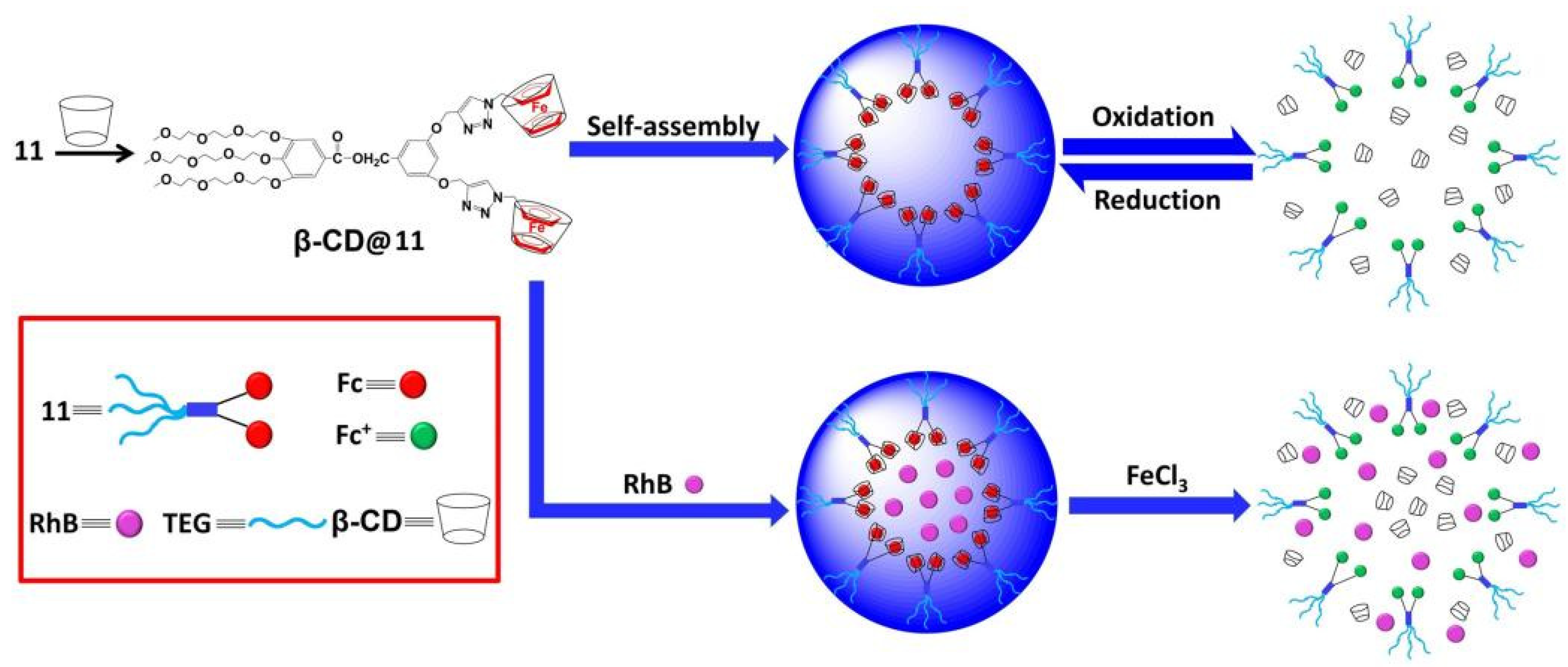 Polymers 14 04855 g001