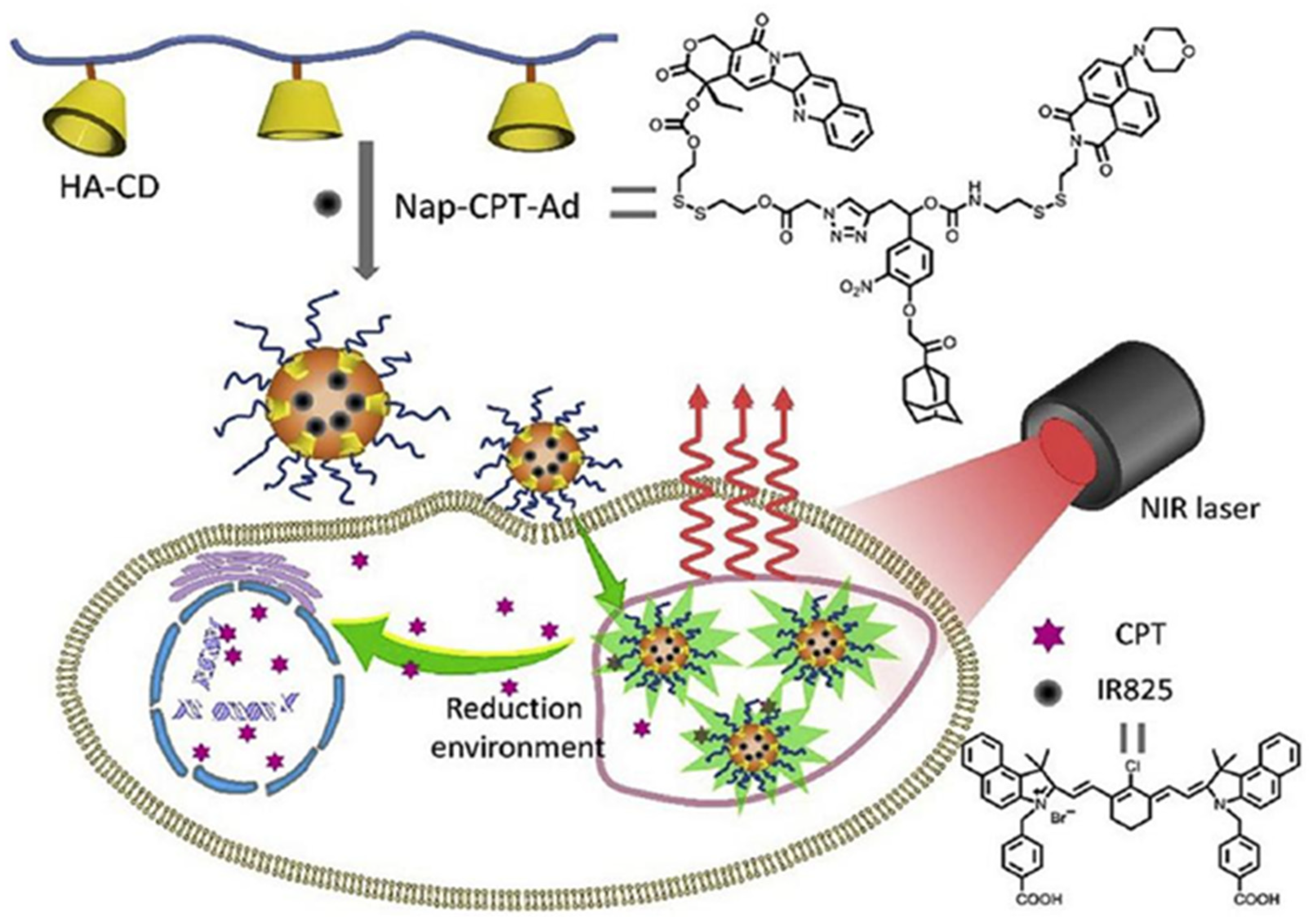 Polymers 14 04855 g003