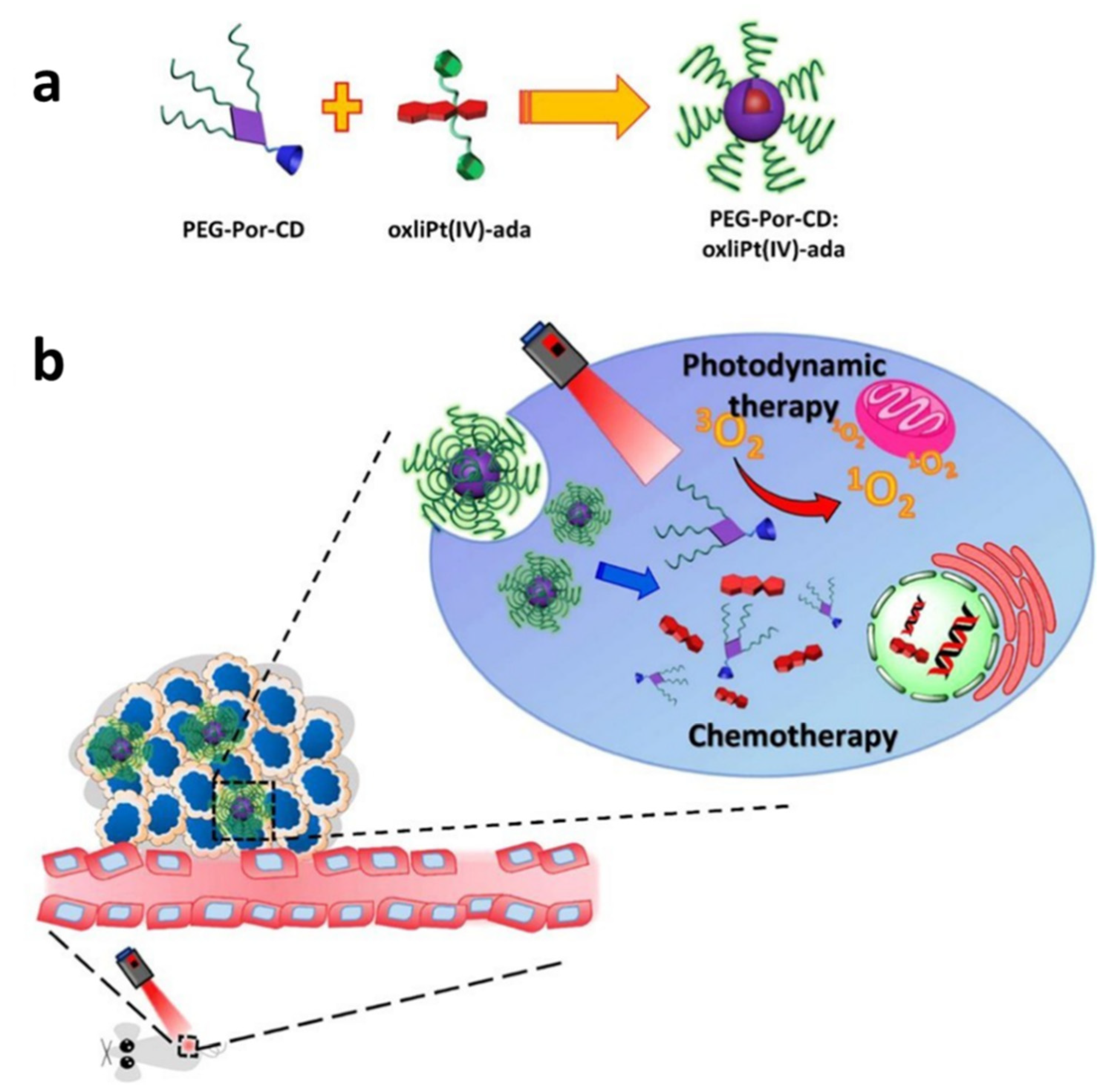Polymers 14 04855 g004