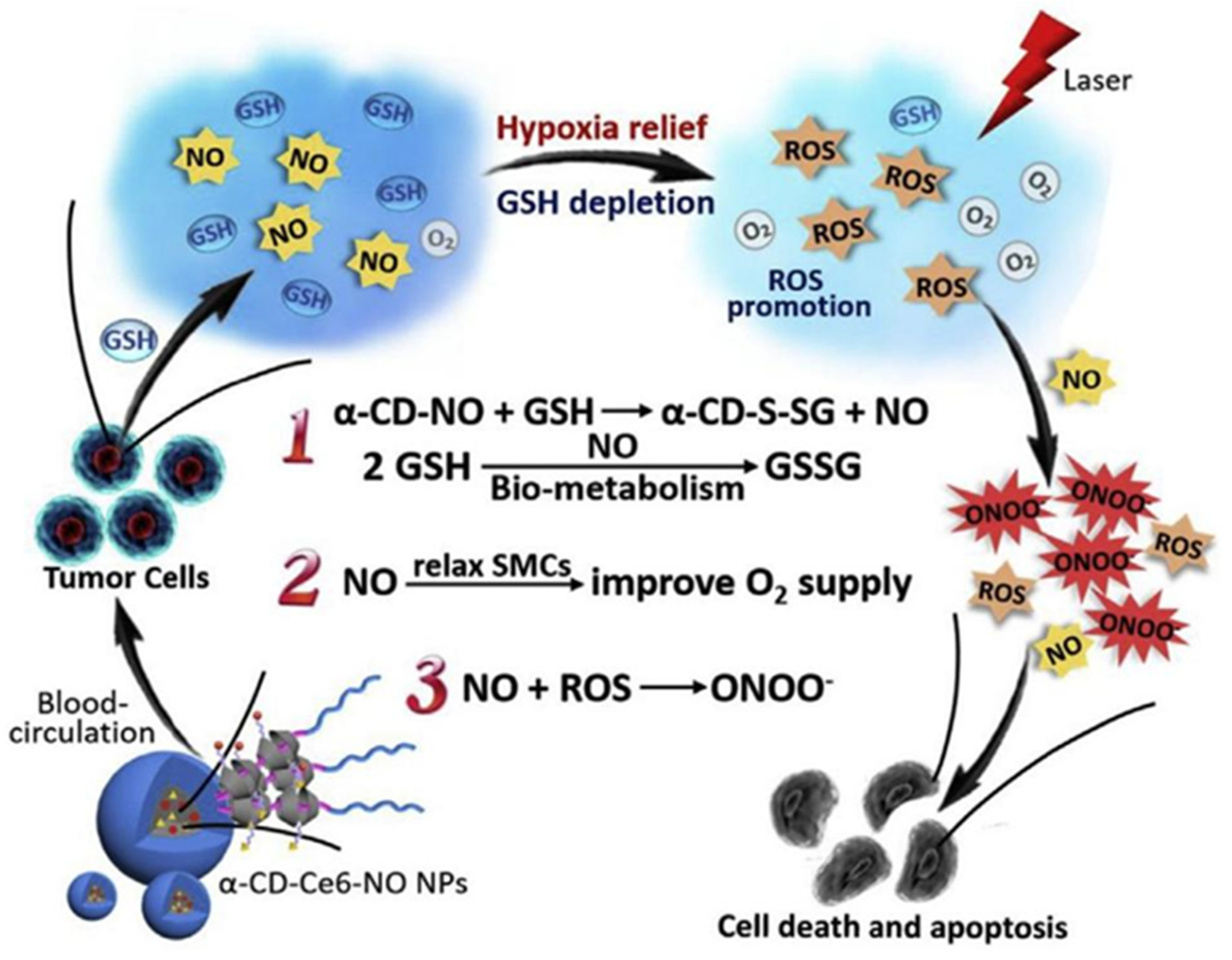 Polymers 14 04855 g005