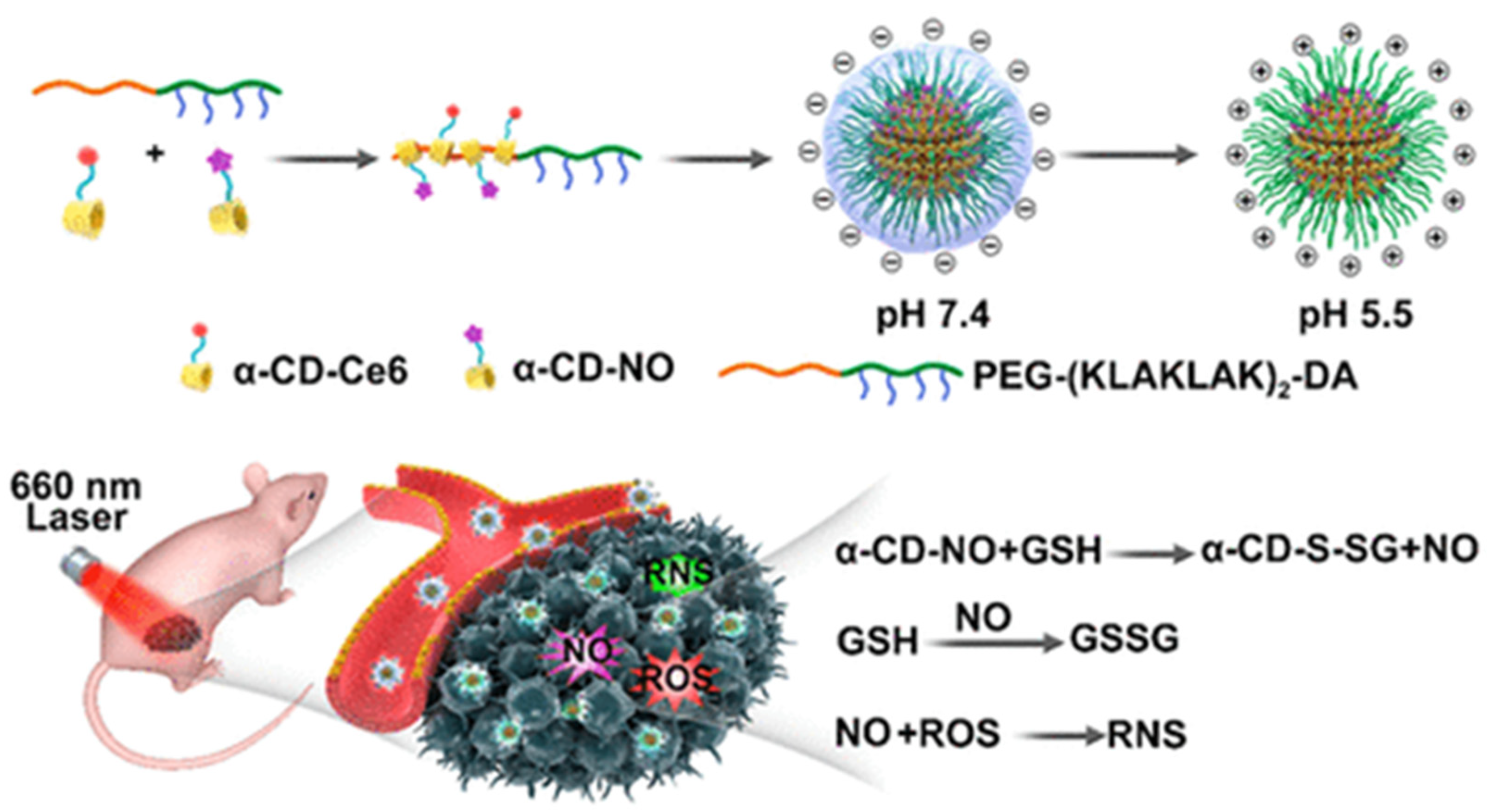 Polymers 14 04855 g006