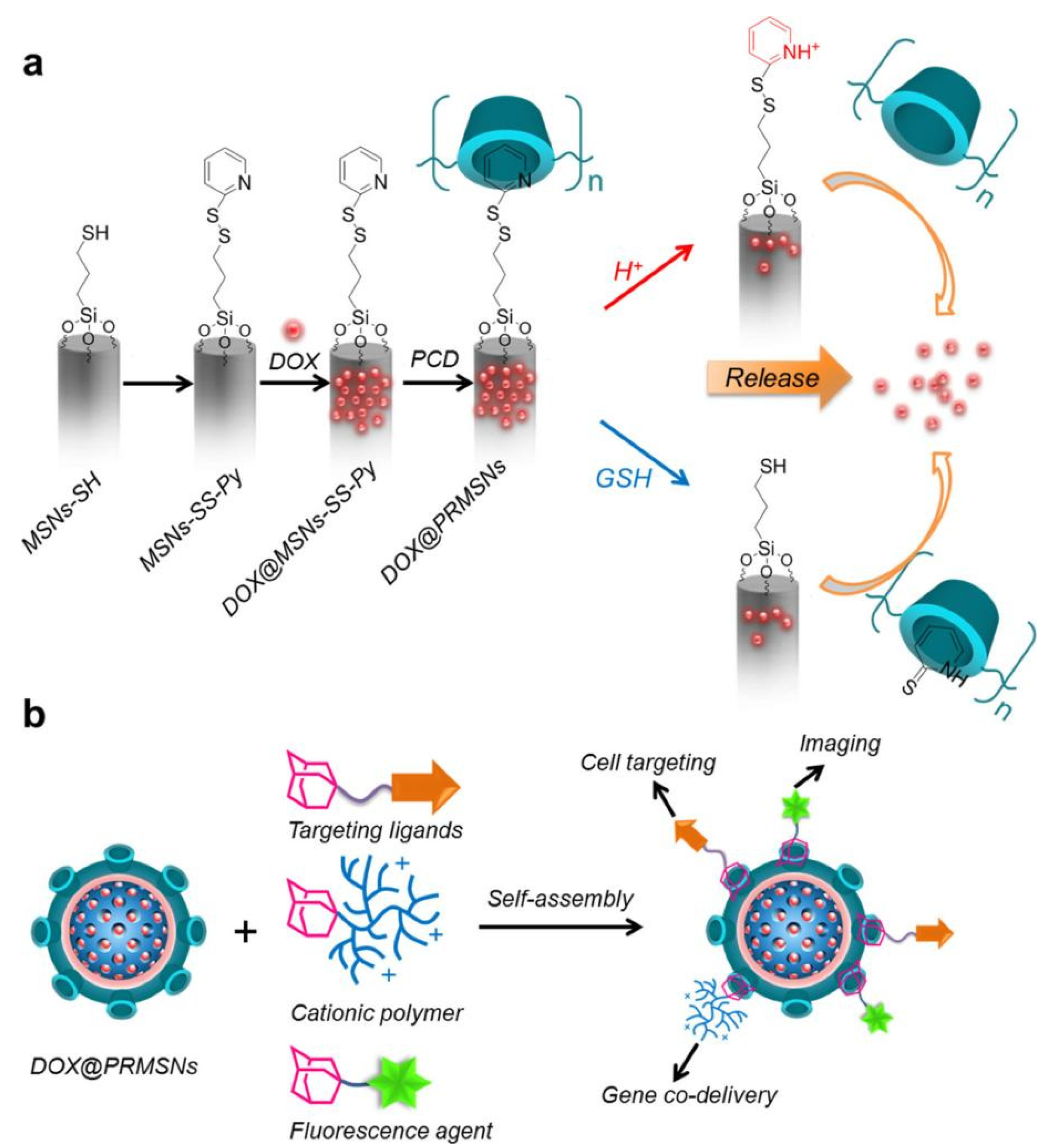 Polymers 14 04855 g007