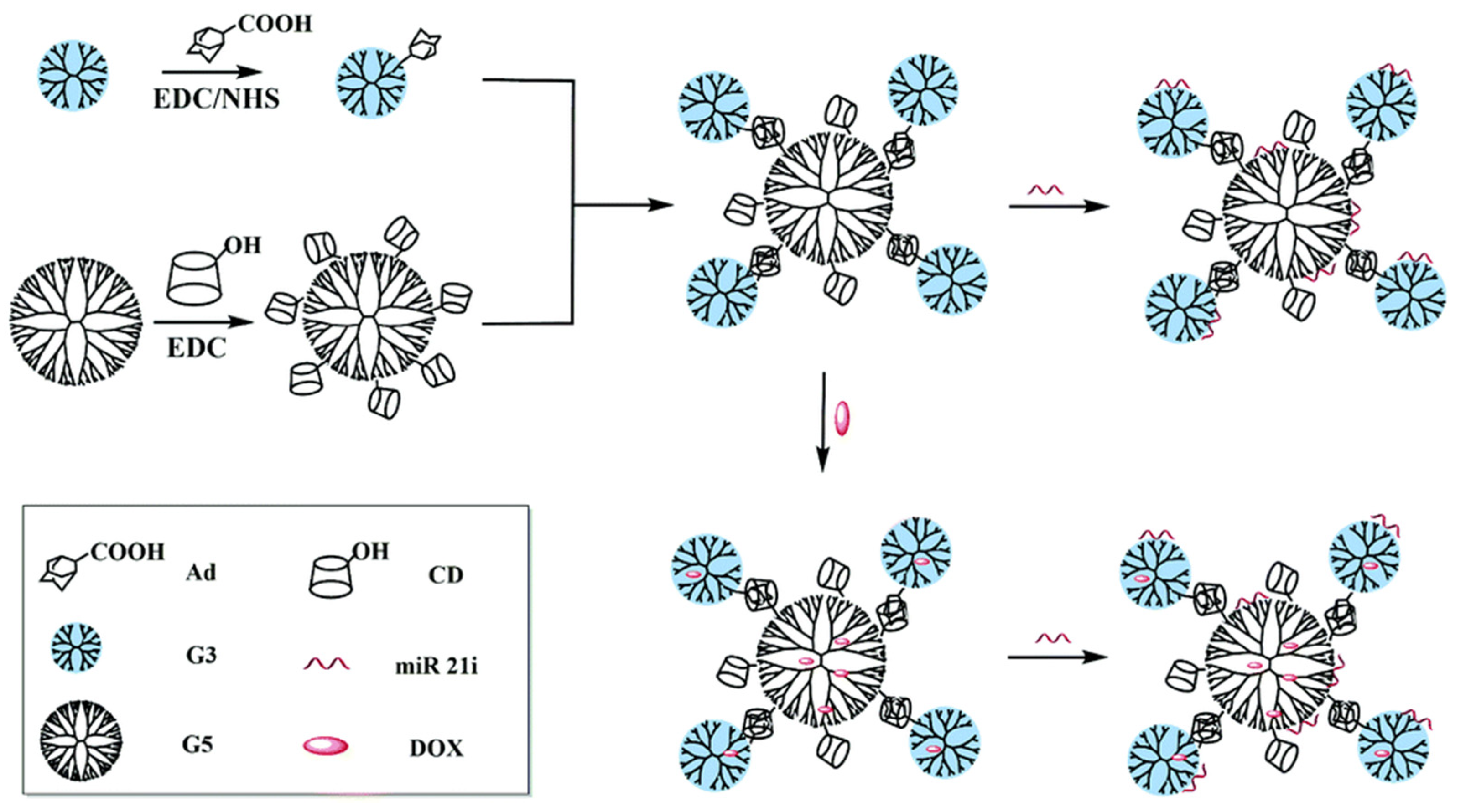 Polymers 14 04855 g008