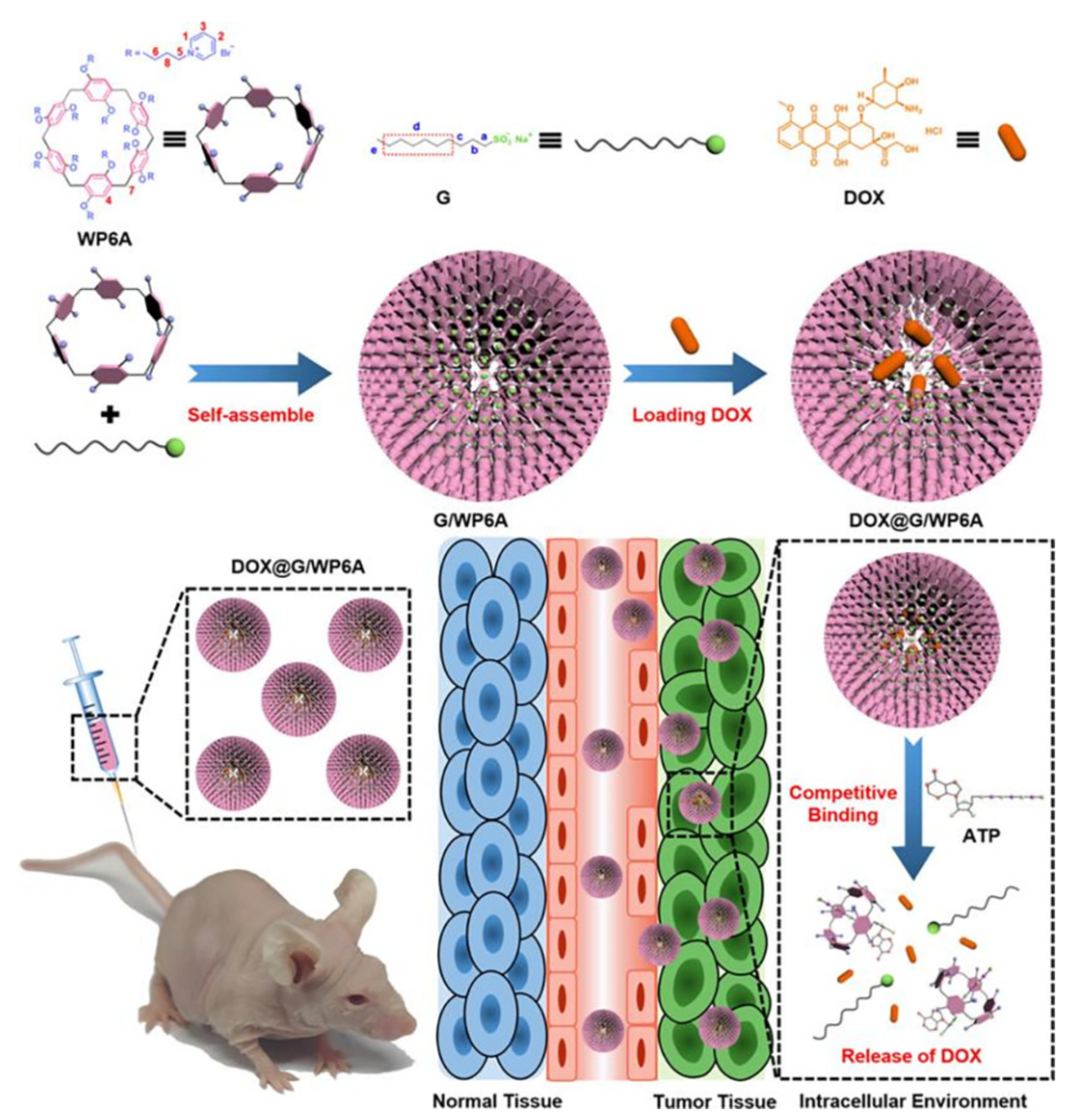 Polymers 14 04855 g009