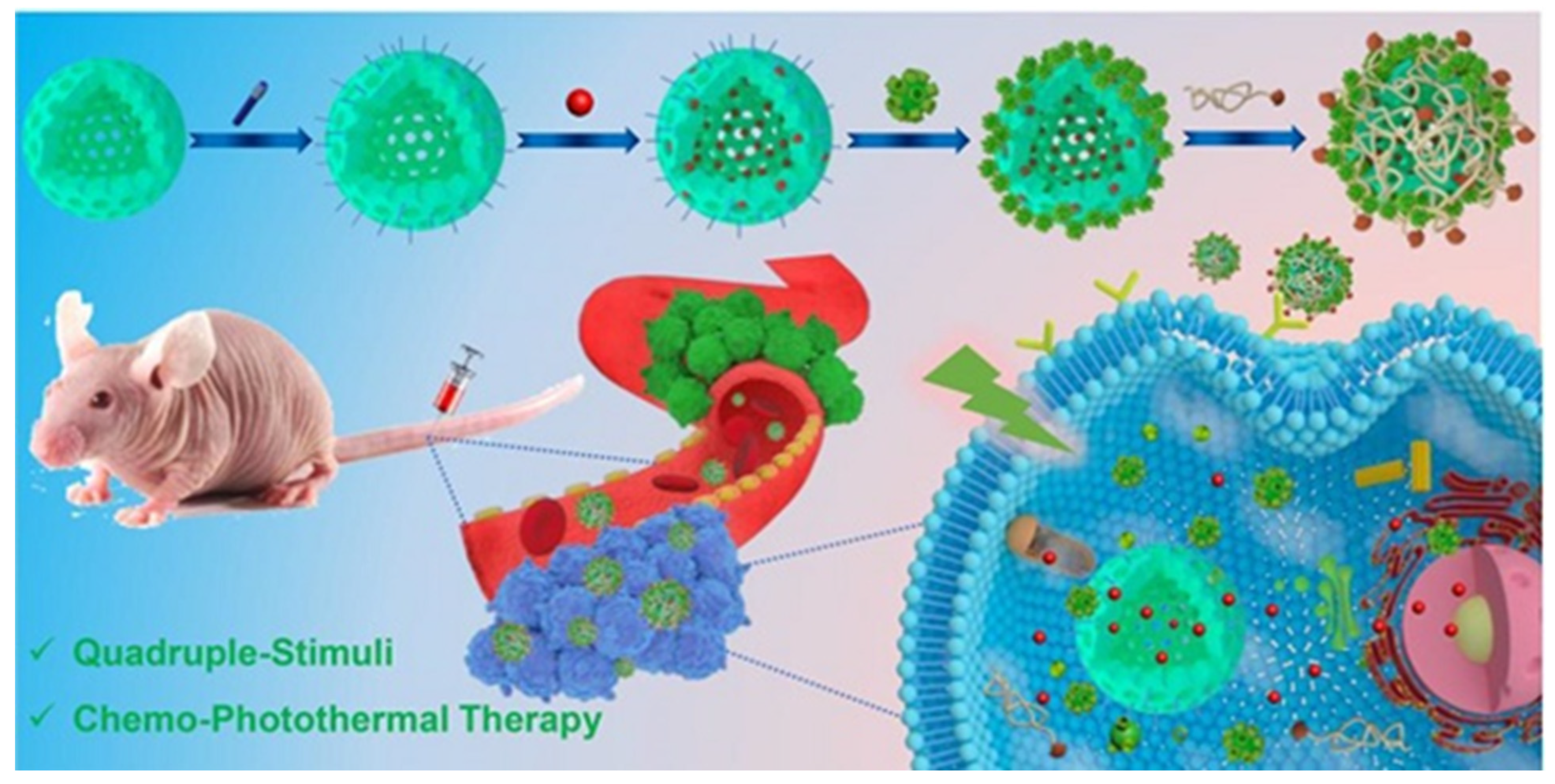 Polymers 14 04855 g012