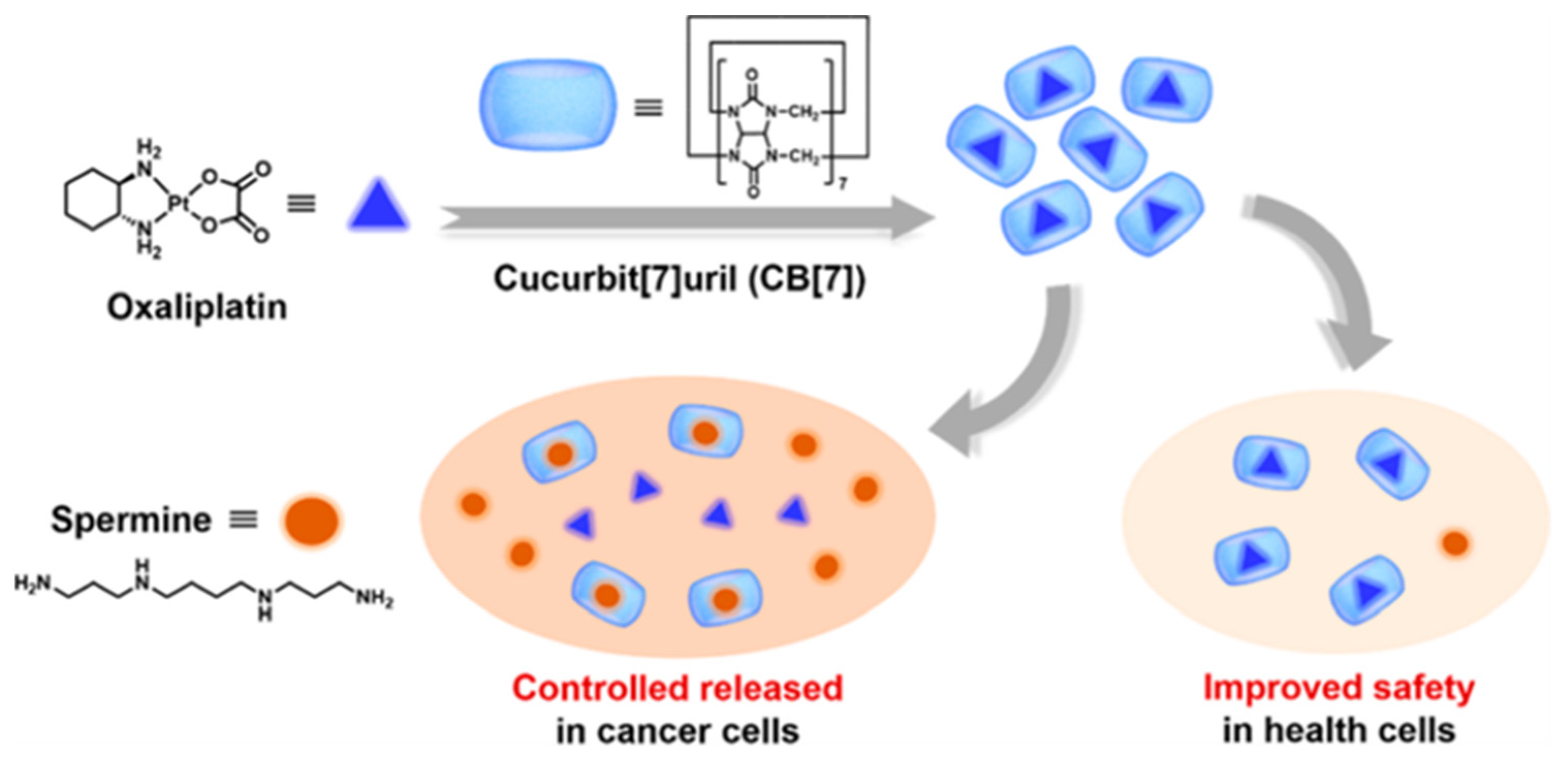 Polymers 14 04855 g016