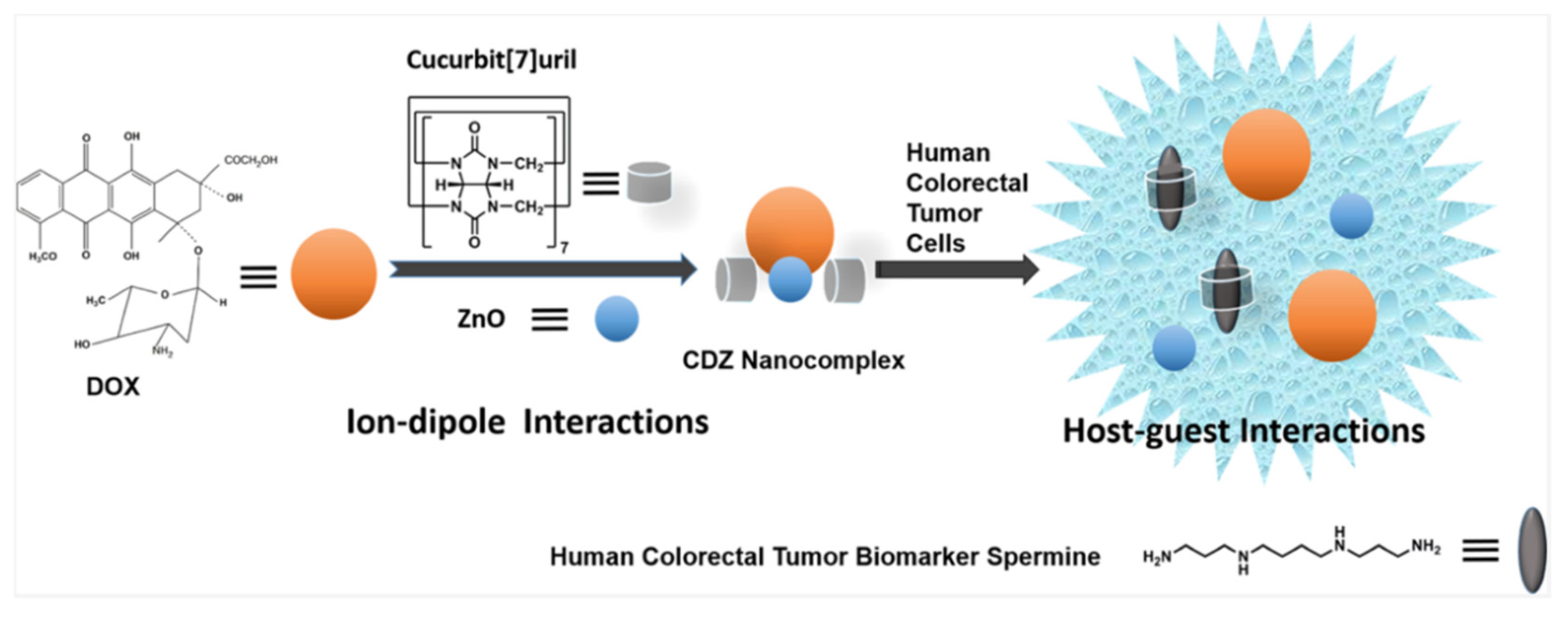 Polymers 14 04855 g018