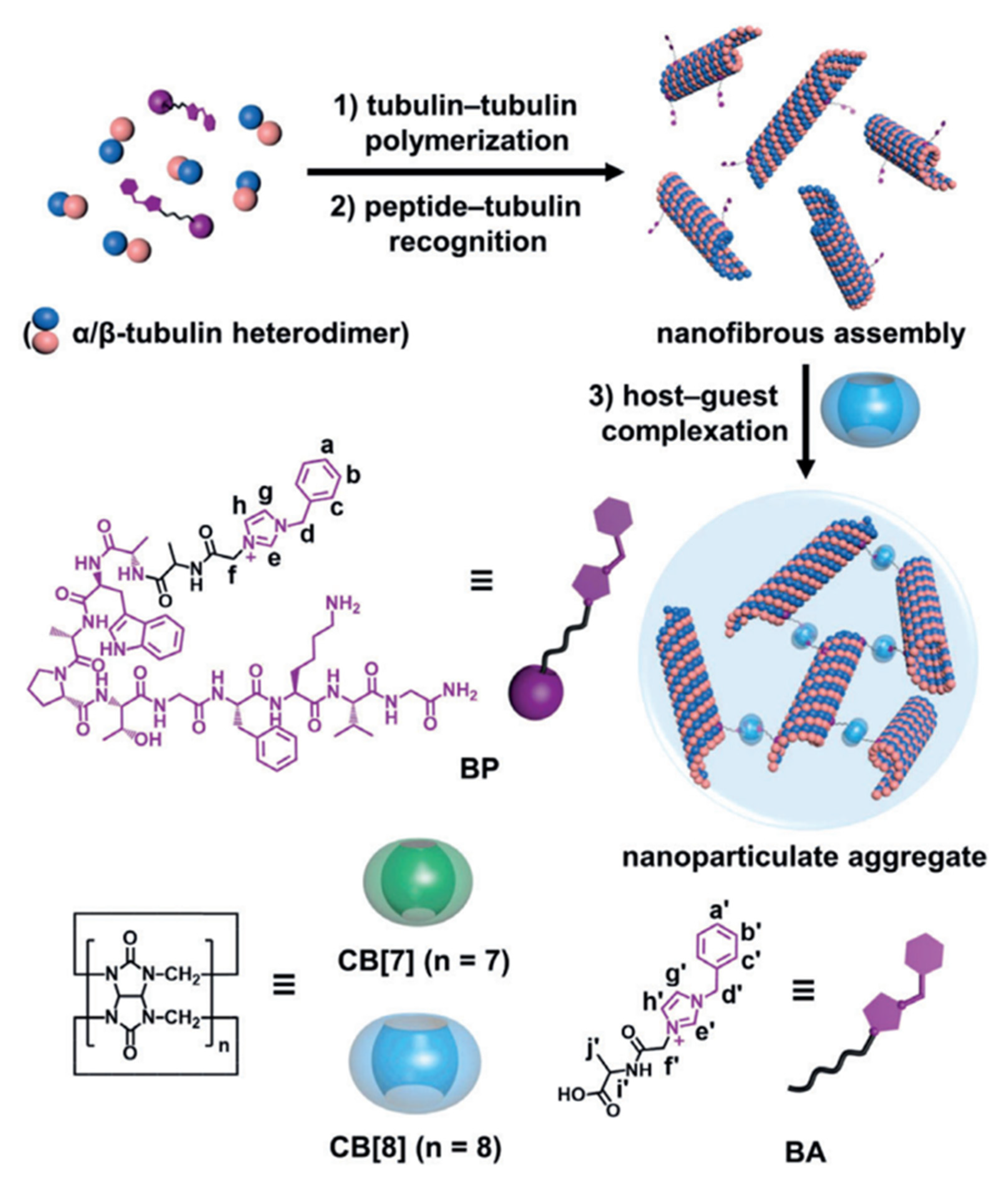 Polymers 14 04855 g021