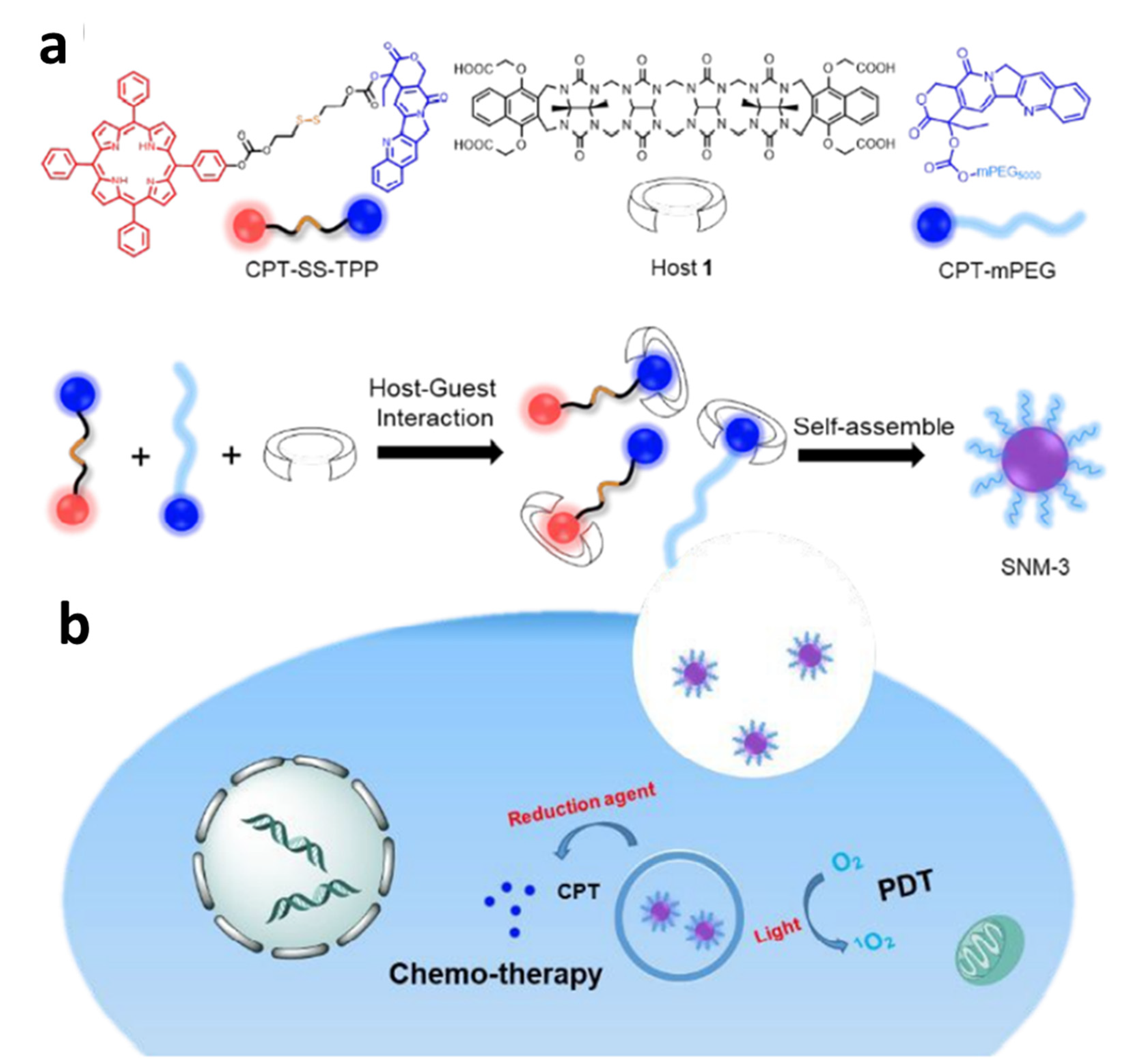 Polymers 14 04855 g022