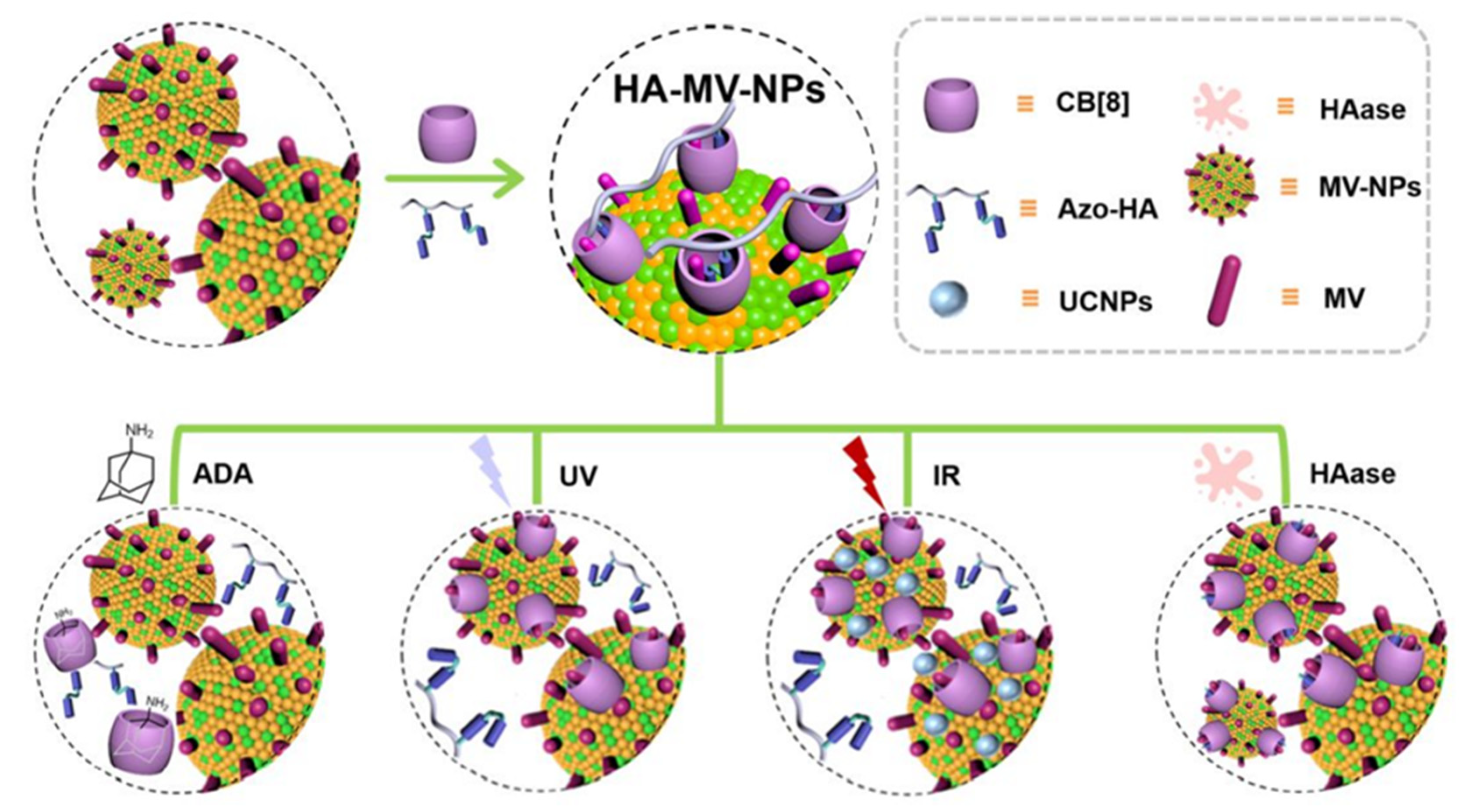 Polymers 14 04855 g023