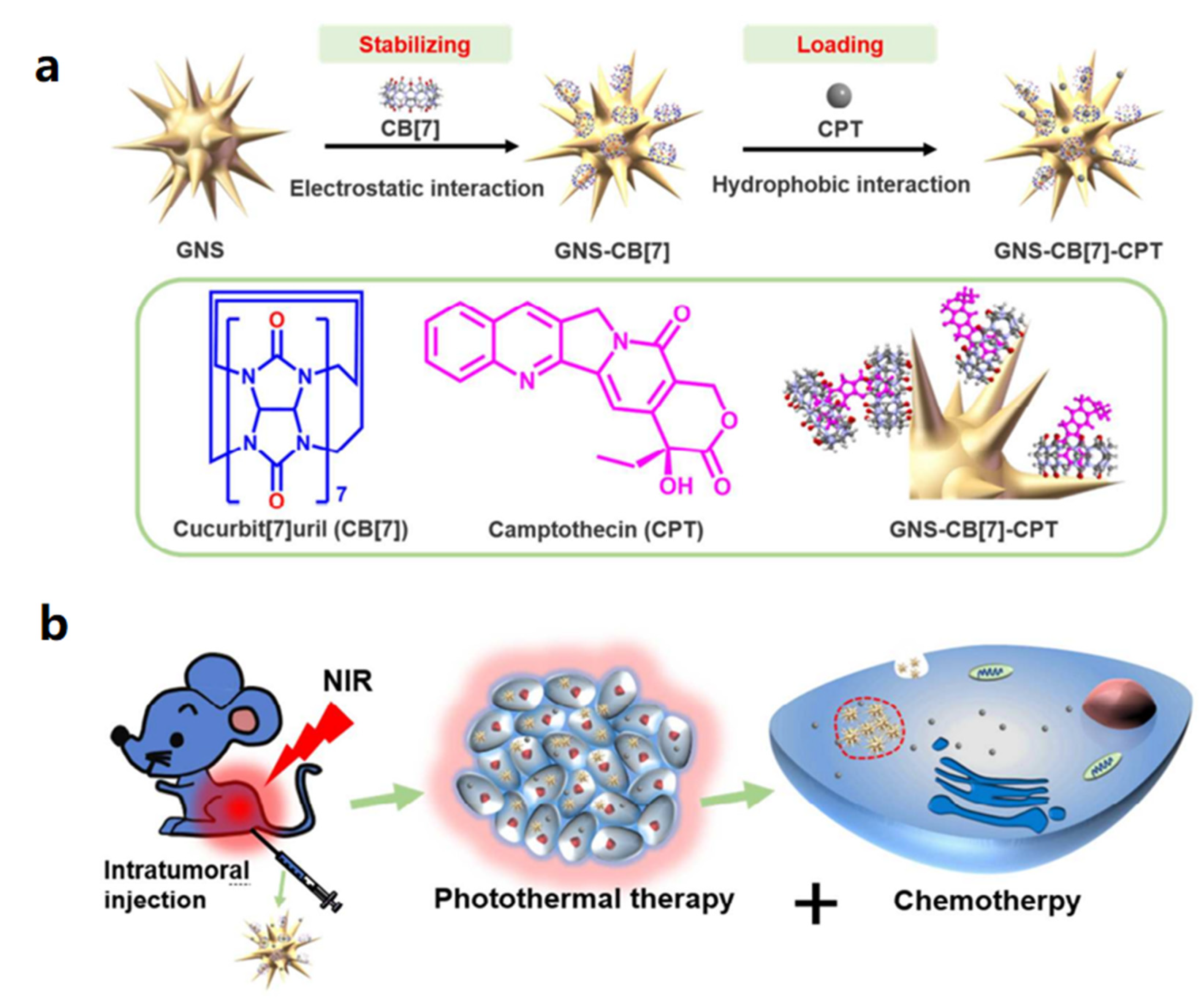 Polymers 14 04855 g024