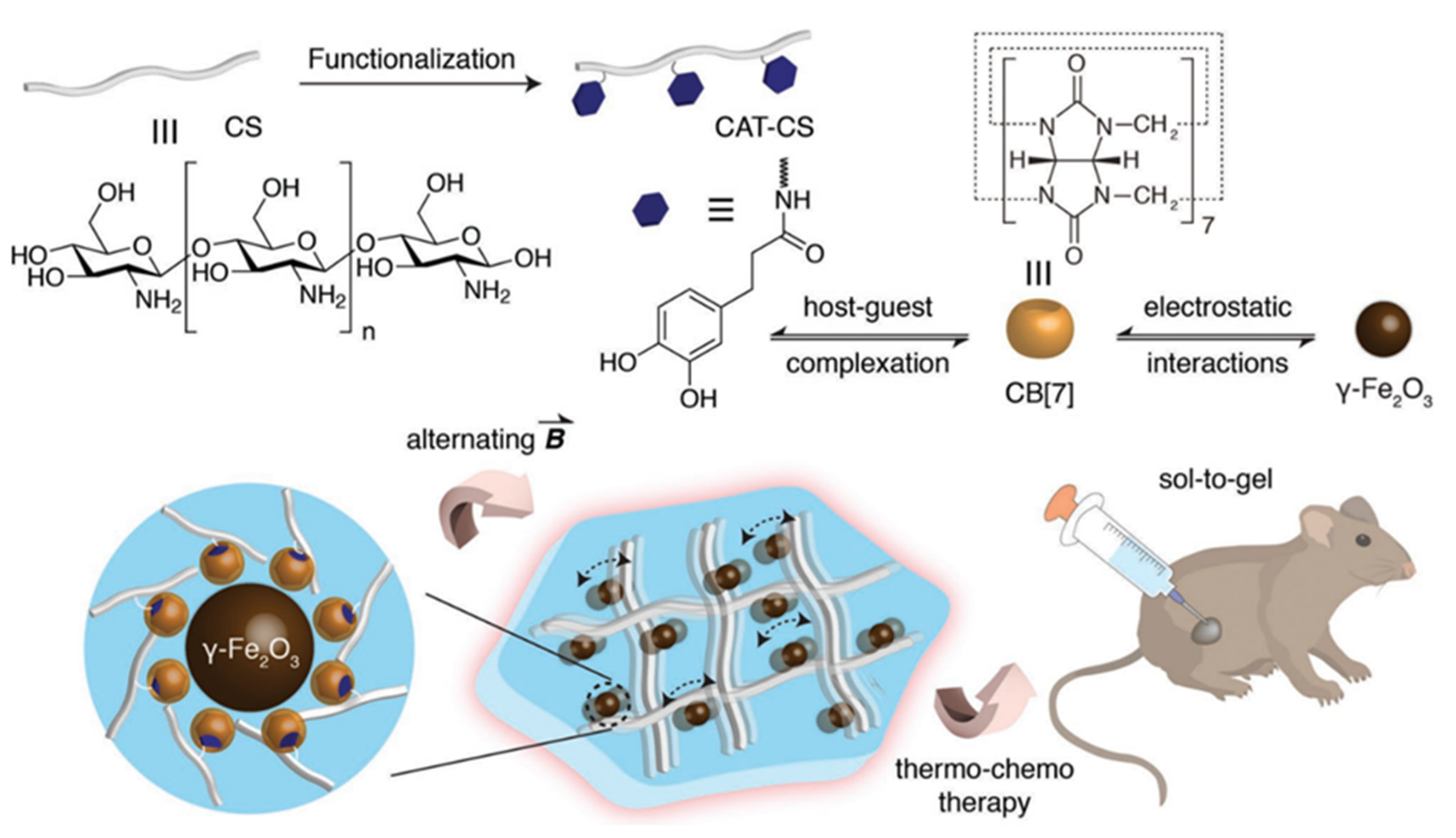 Polymers 14 04855 g025