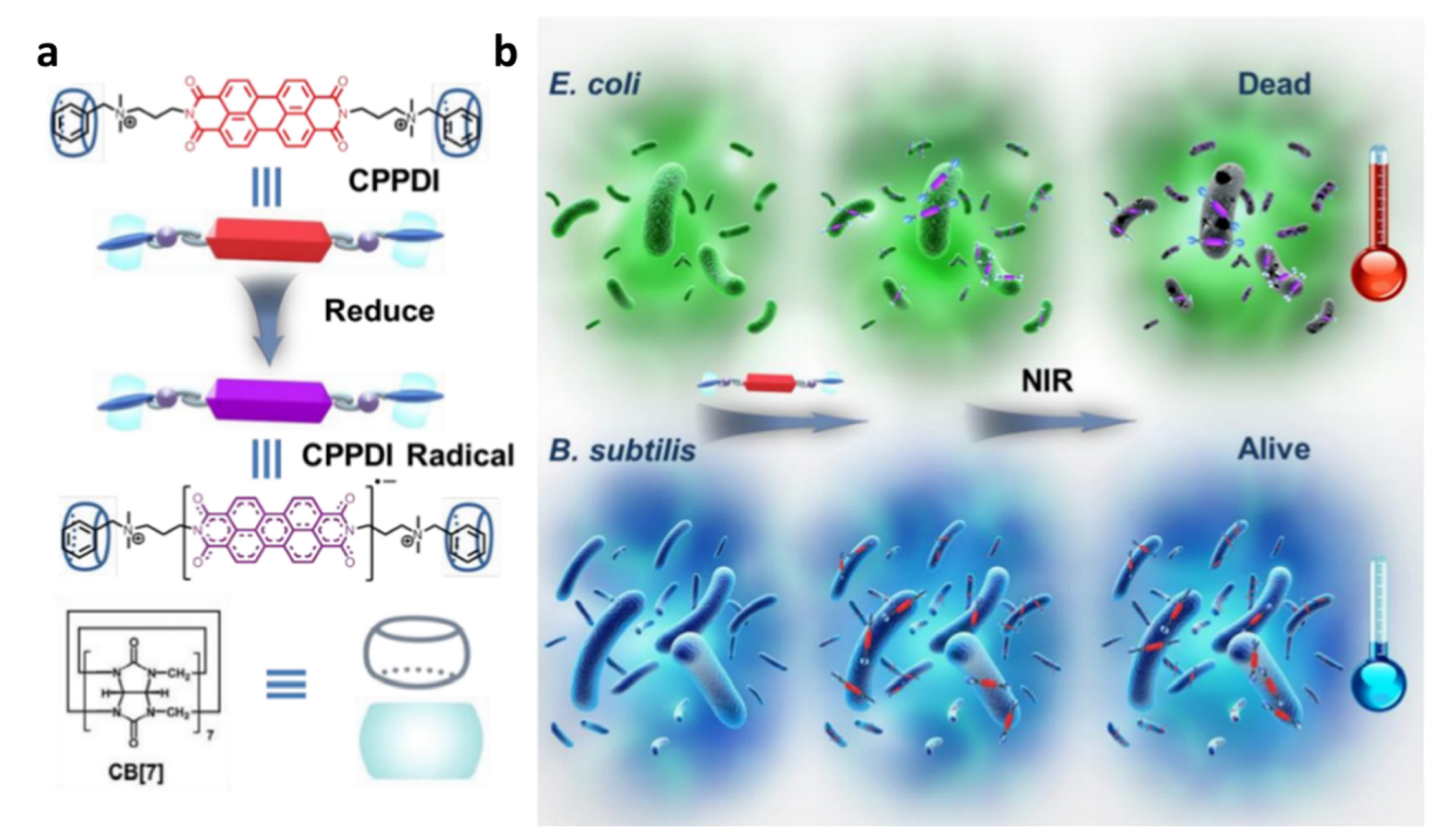 Polymers 14 04855 g026