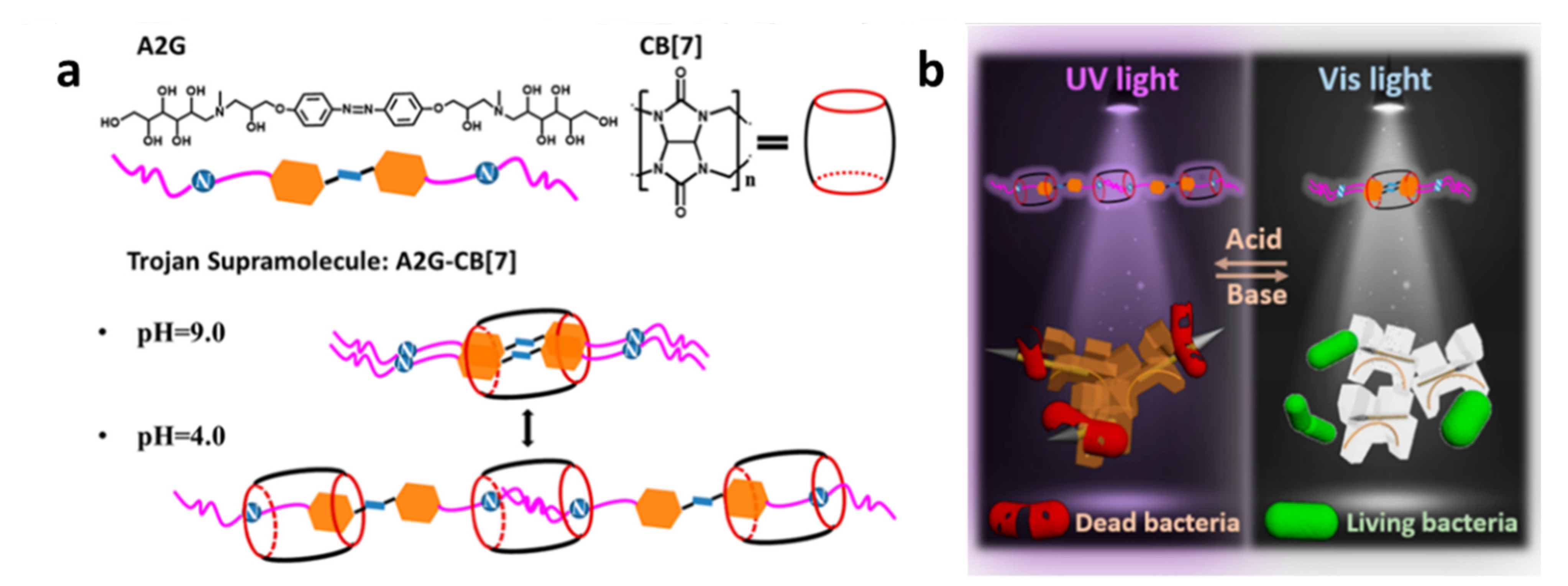 Polymers 14 04855 g027