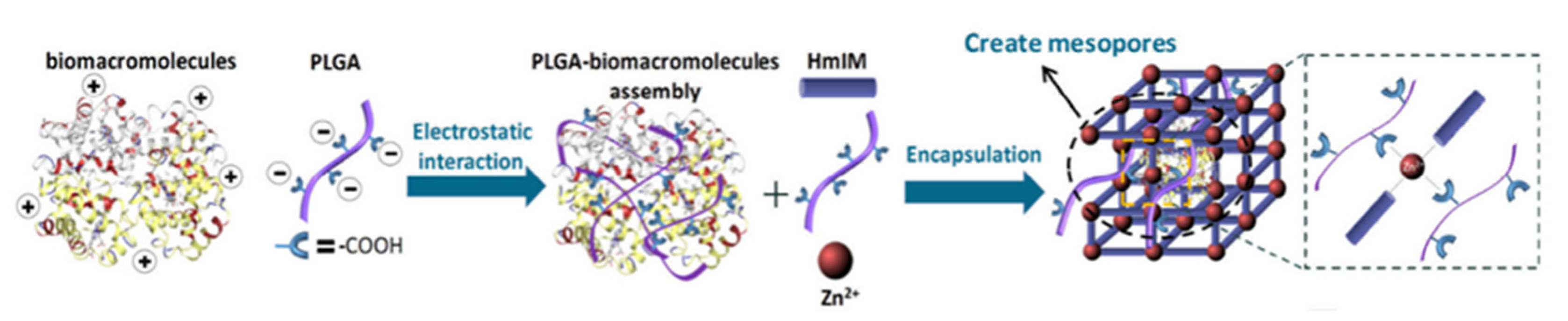 Polymers 14 04855 g031