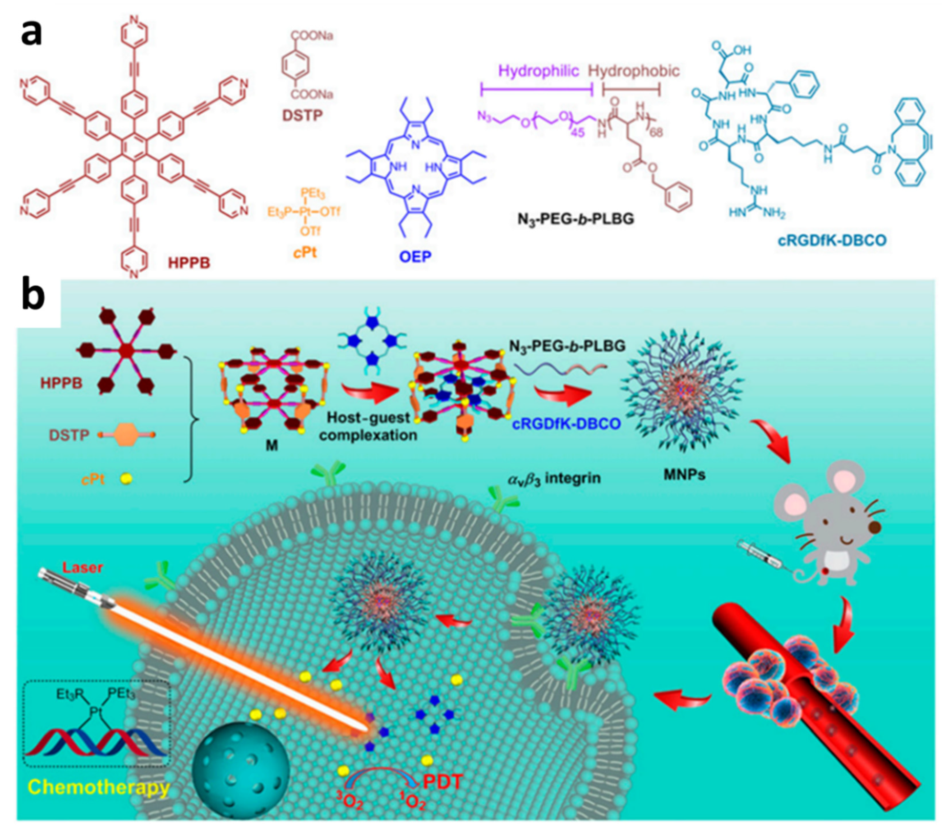 Polymers 14 04855 g034