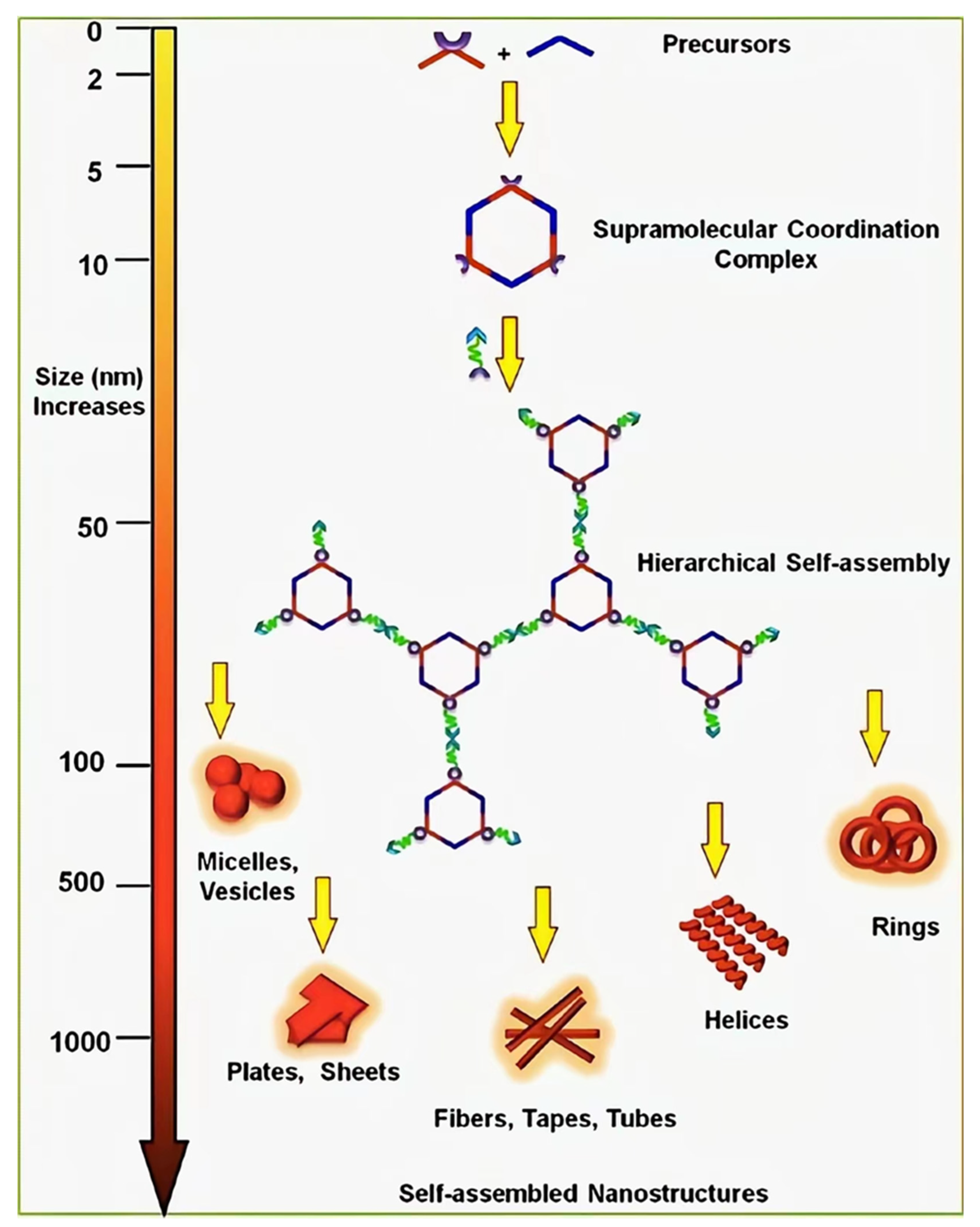 Polymers 14 04855 g035