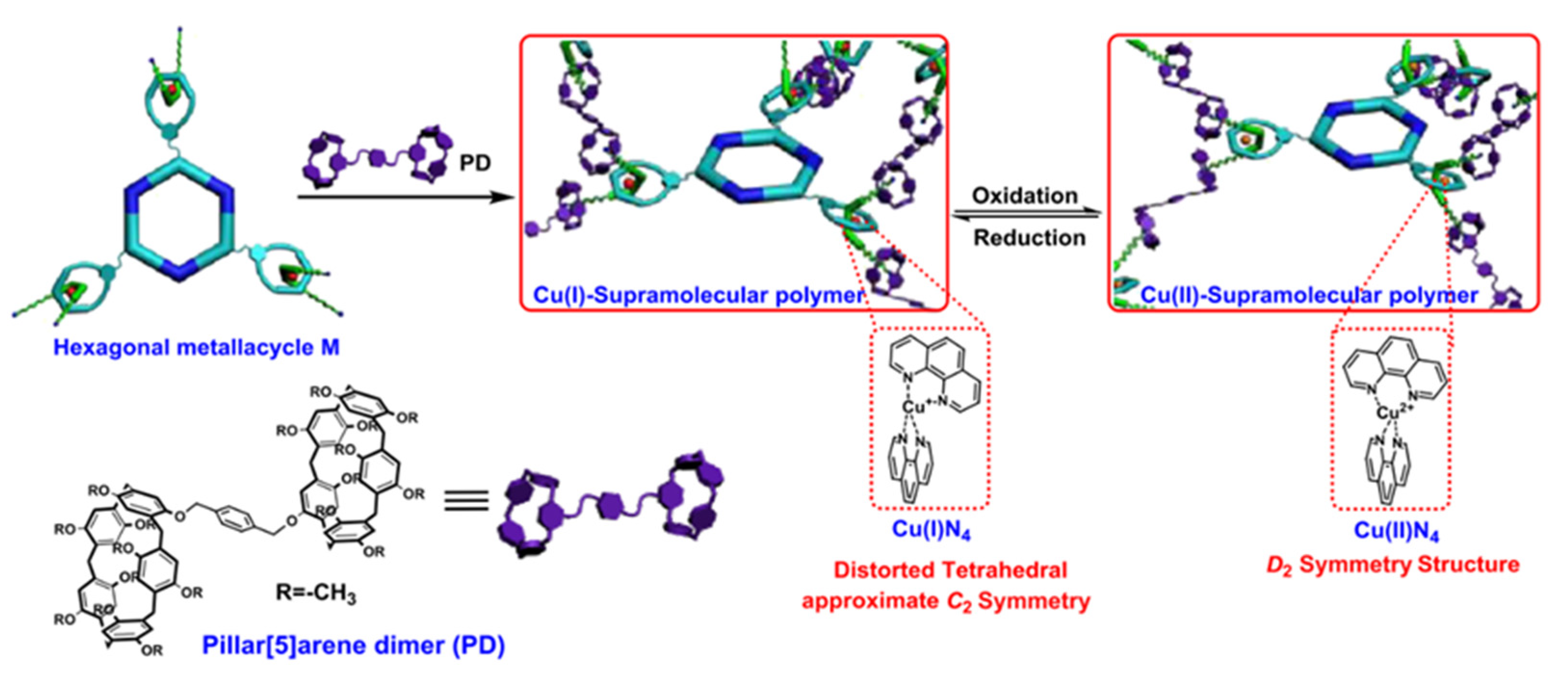 Polymers 14 04855 g036