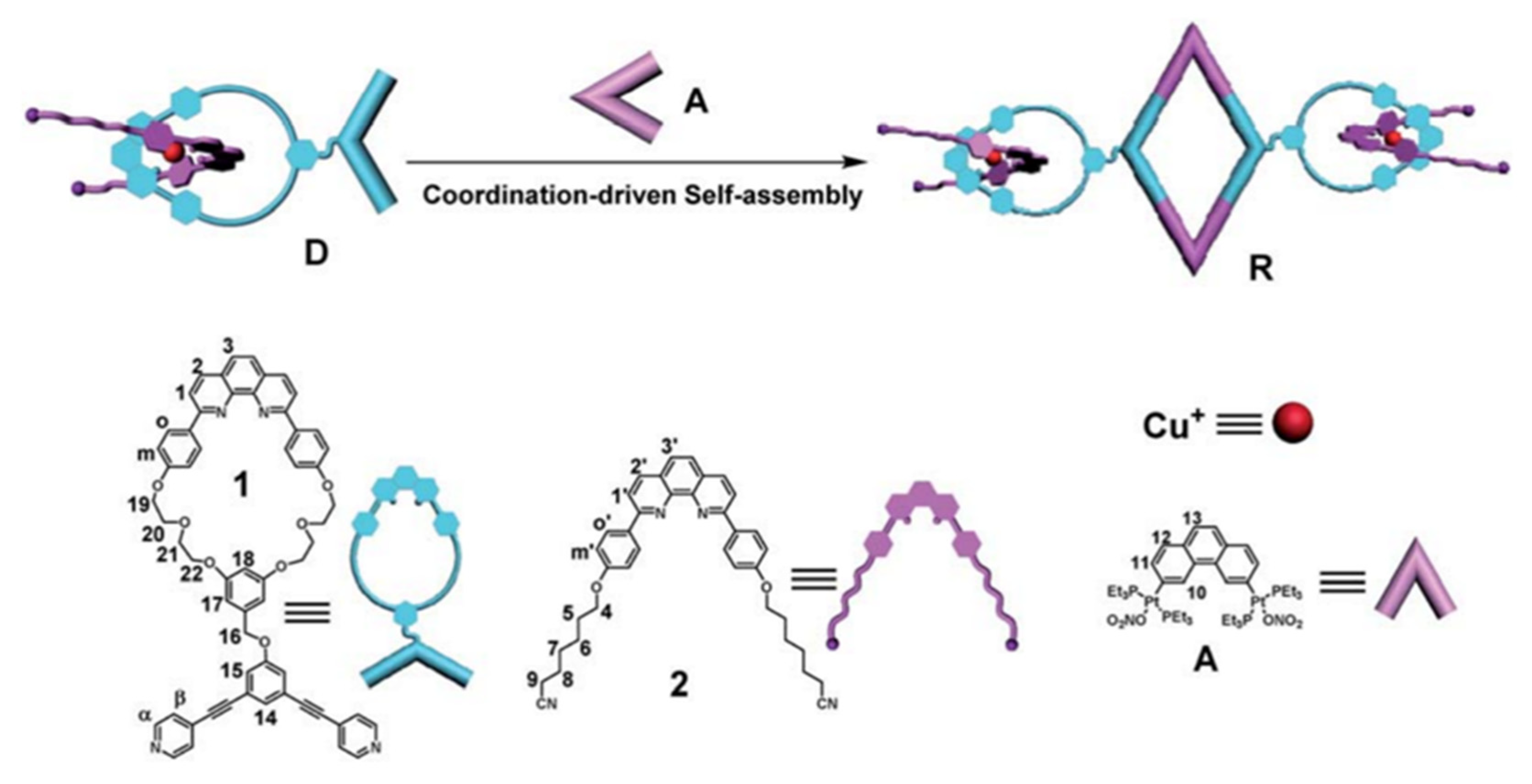 Polymers 14 04855 g037