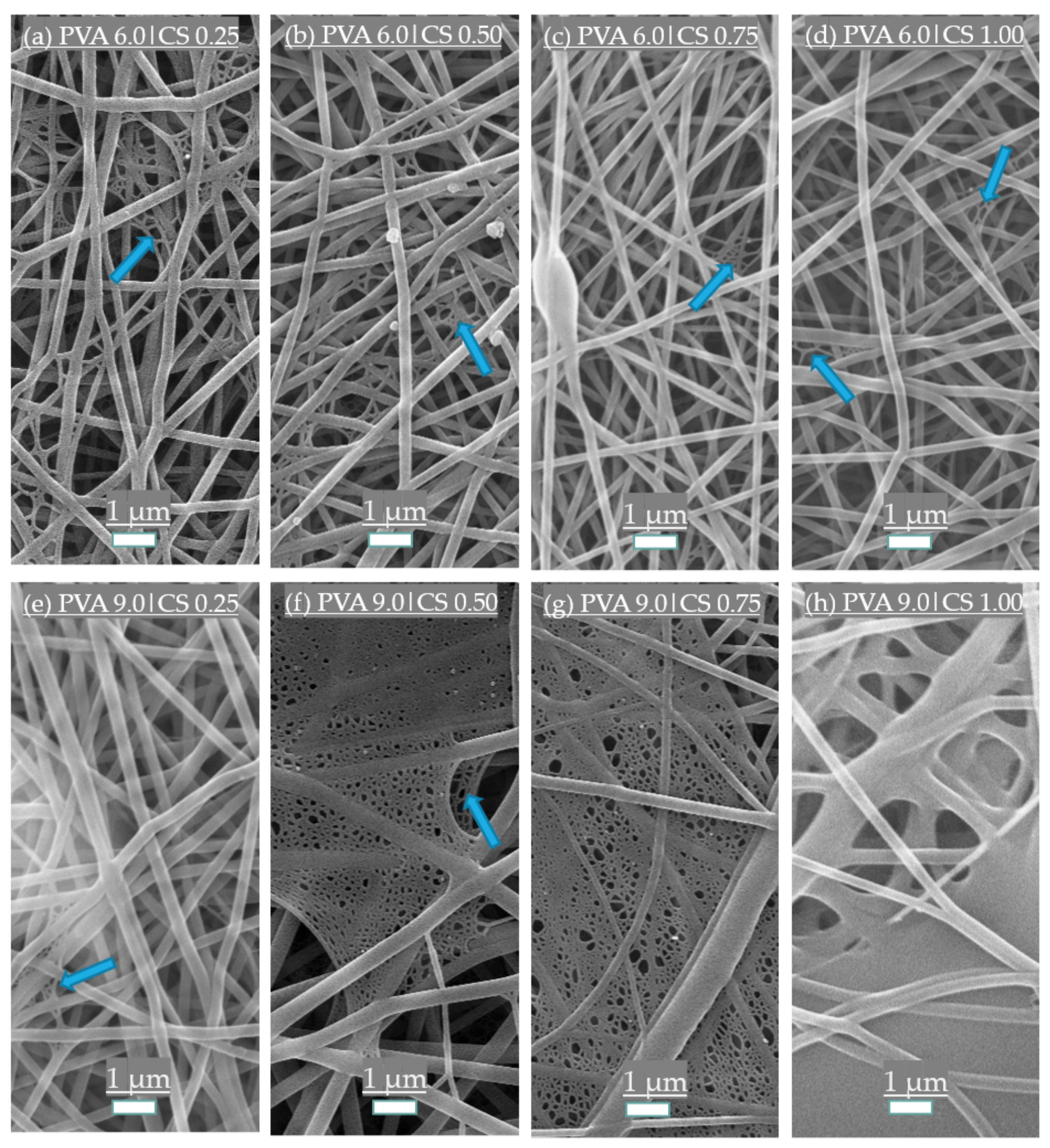 Polymers 14 04856 g001 Polymers 14 04856 g001
