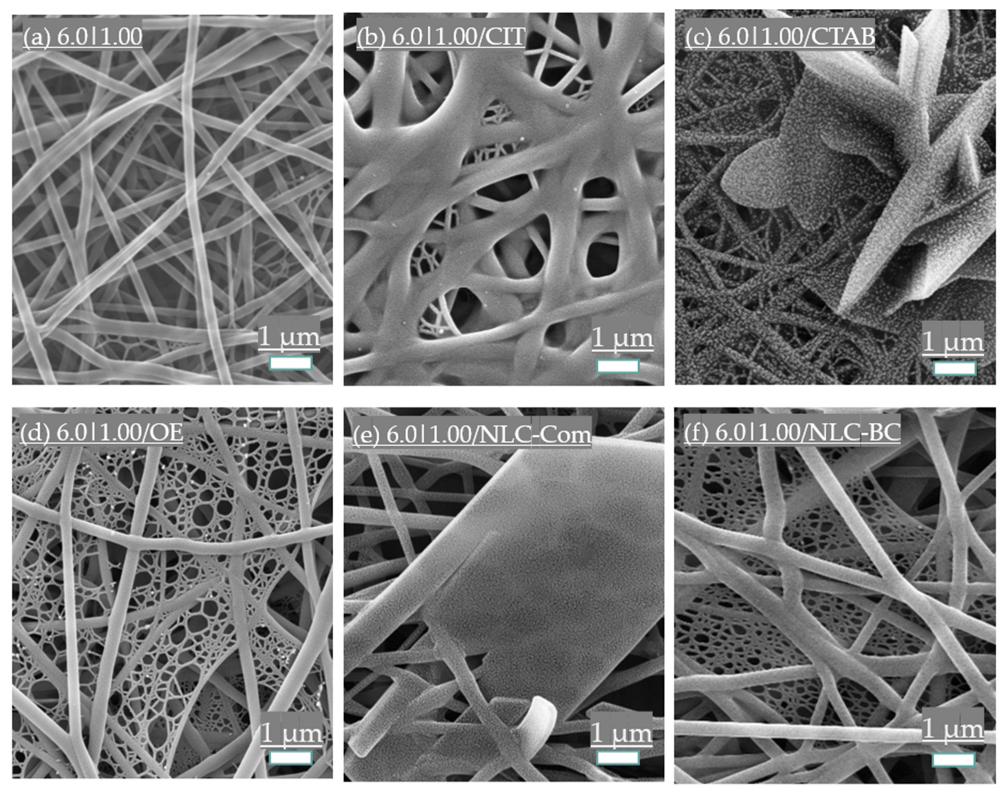 Polymers 14 04856 g009 Polymers 14 04856 g009