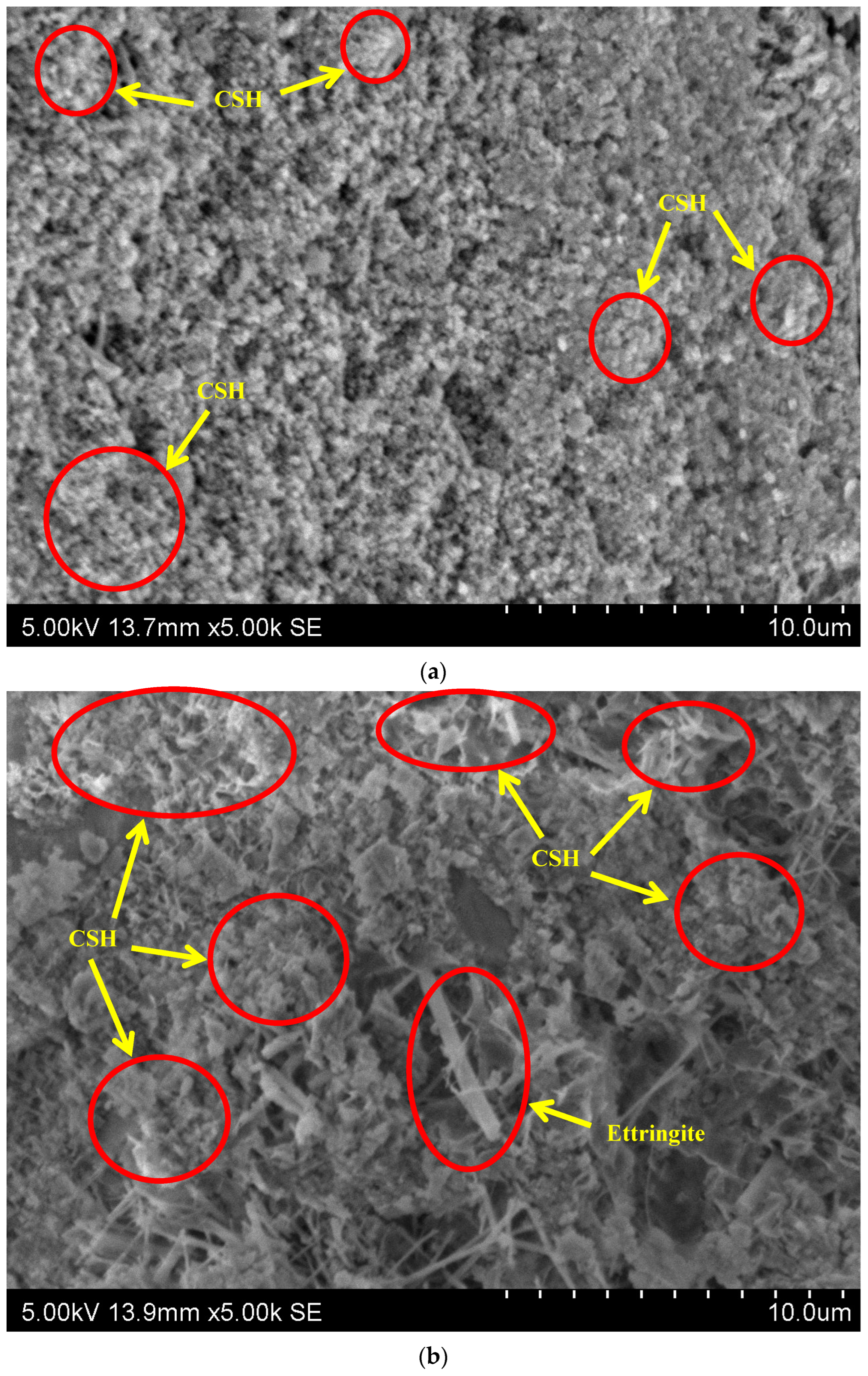 Polymers 14 04858 g013 Polymers 14 04858 g013