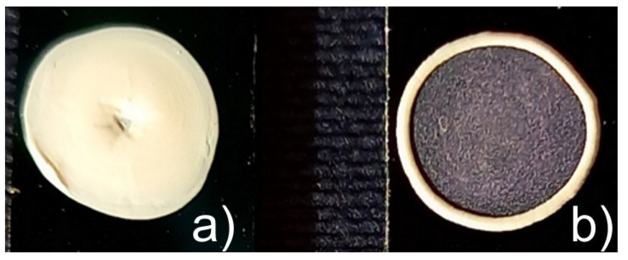 Polymers 14 04859 g001 Polymers 14 04859 g001