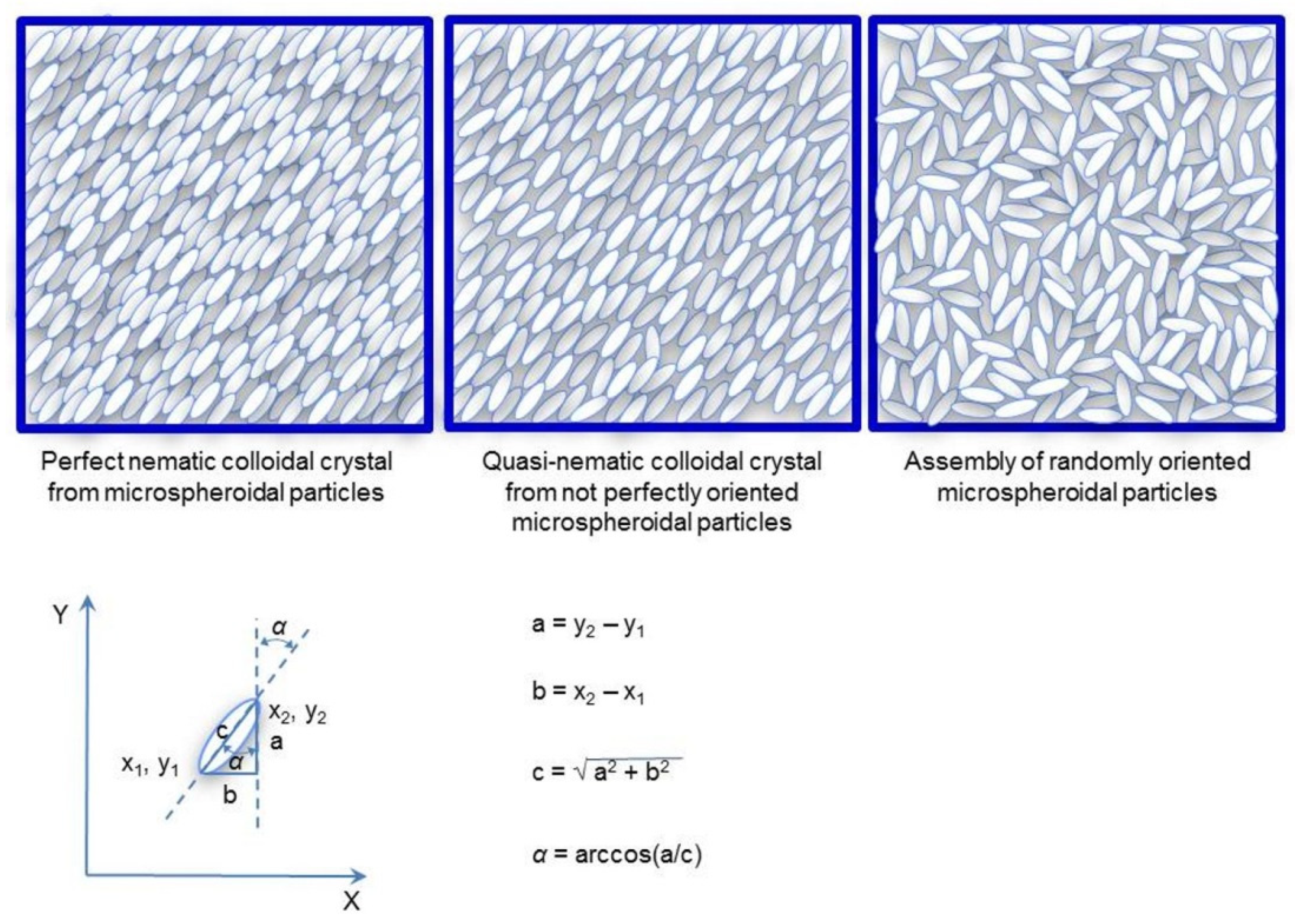 Polymers 14 04859 g004 Polymers 14 04859 g004