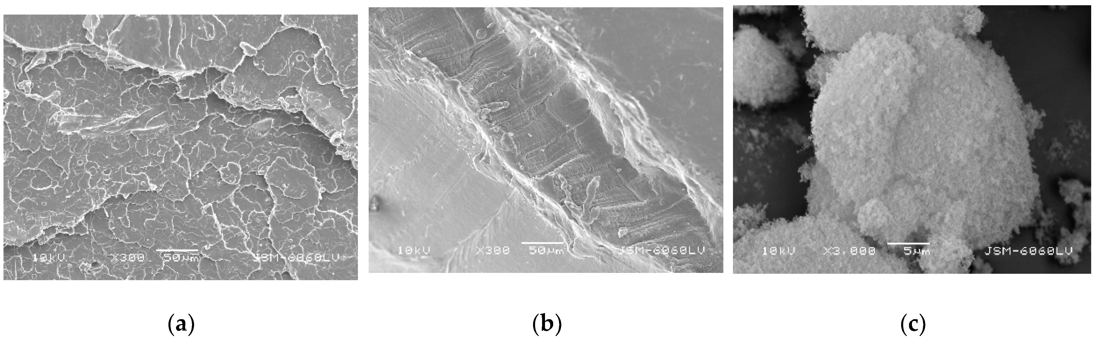 Polymers 14 04861 g002