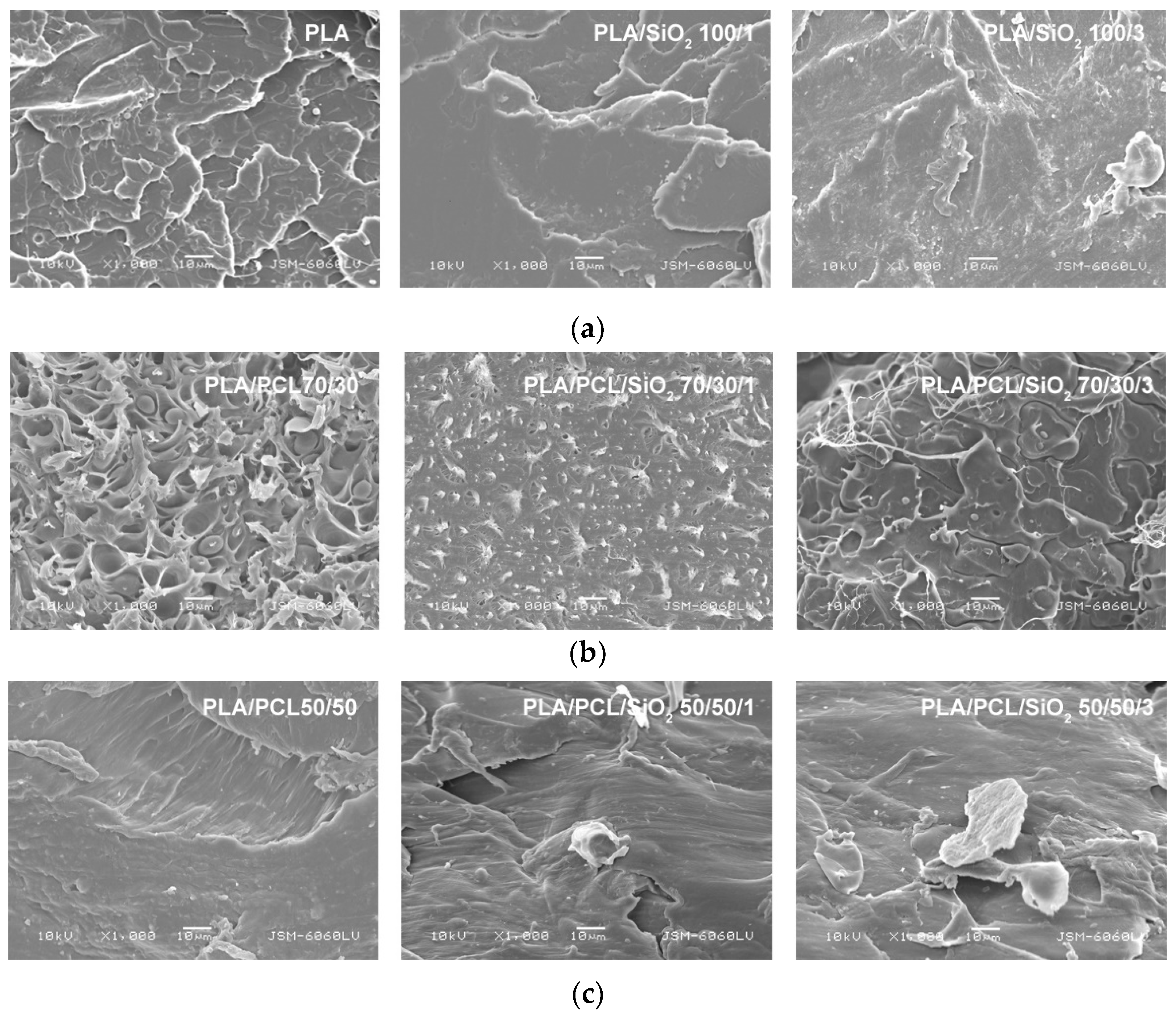 Polymers 14 04861 g003