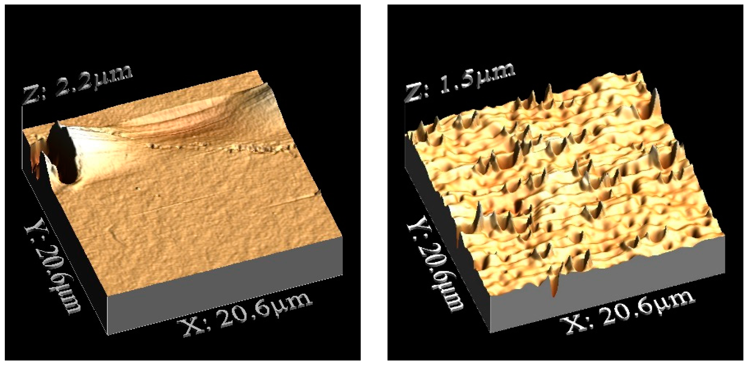 Polymers 14 04865 g012 Polymers 14 04865 g012