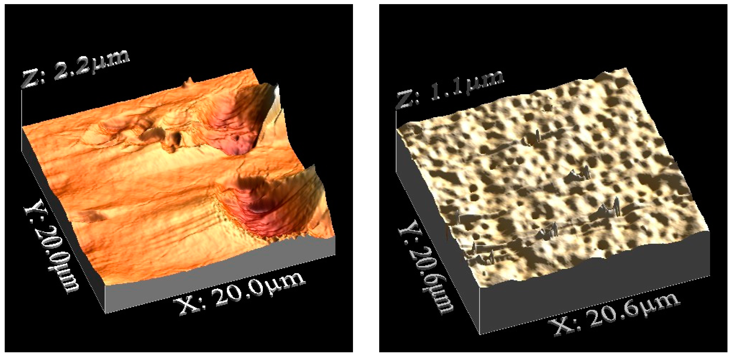 Polymers 14 04865 g013 Polymers 14 04865 g013