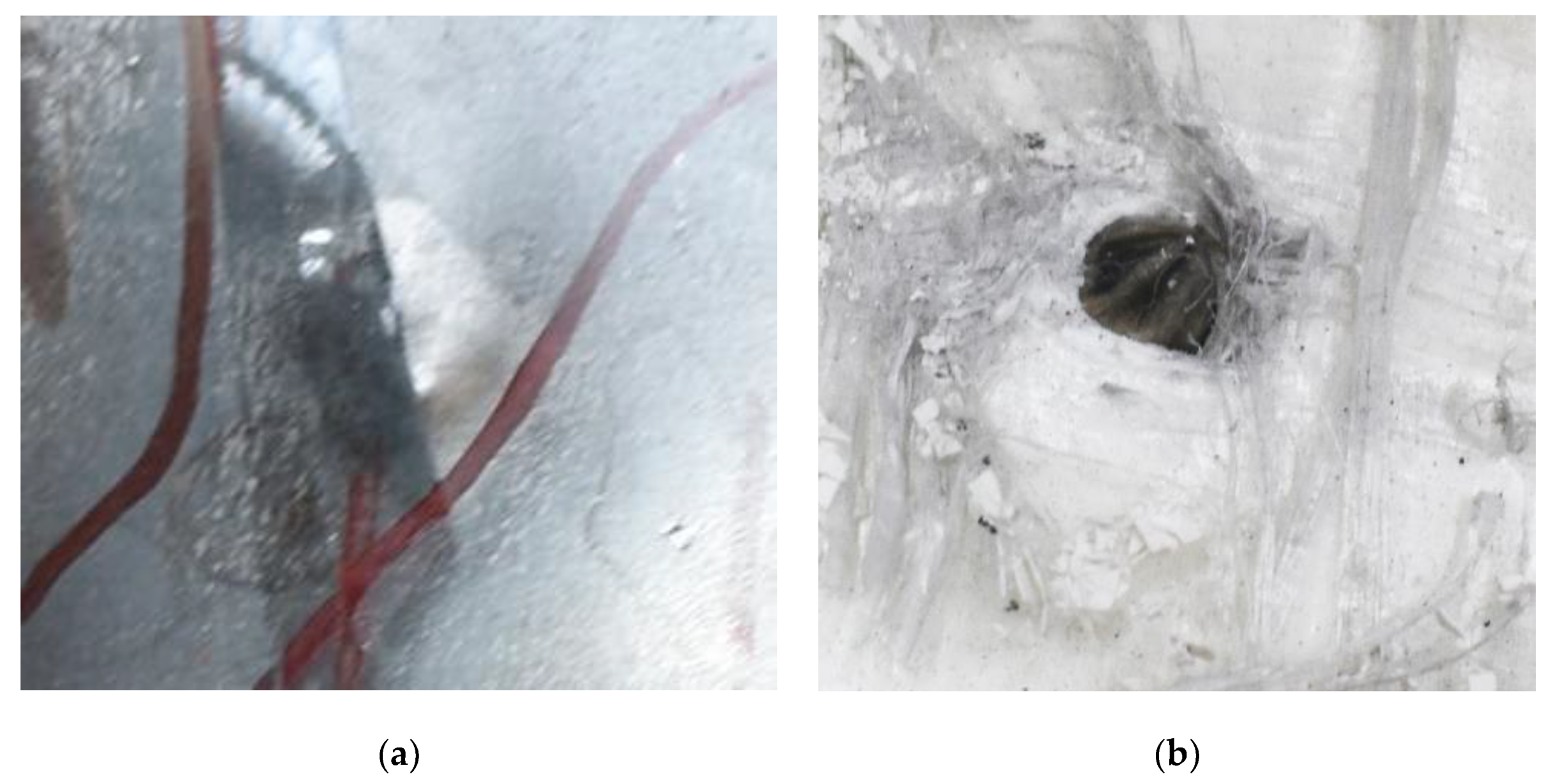 Polymers 14 04866 g009