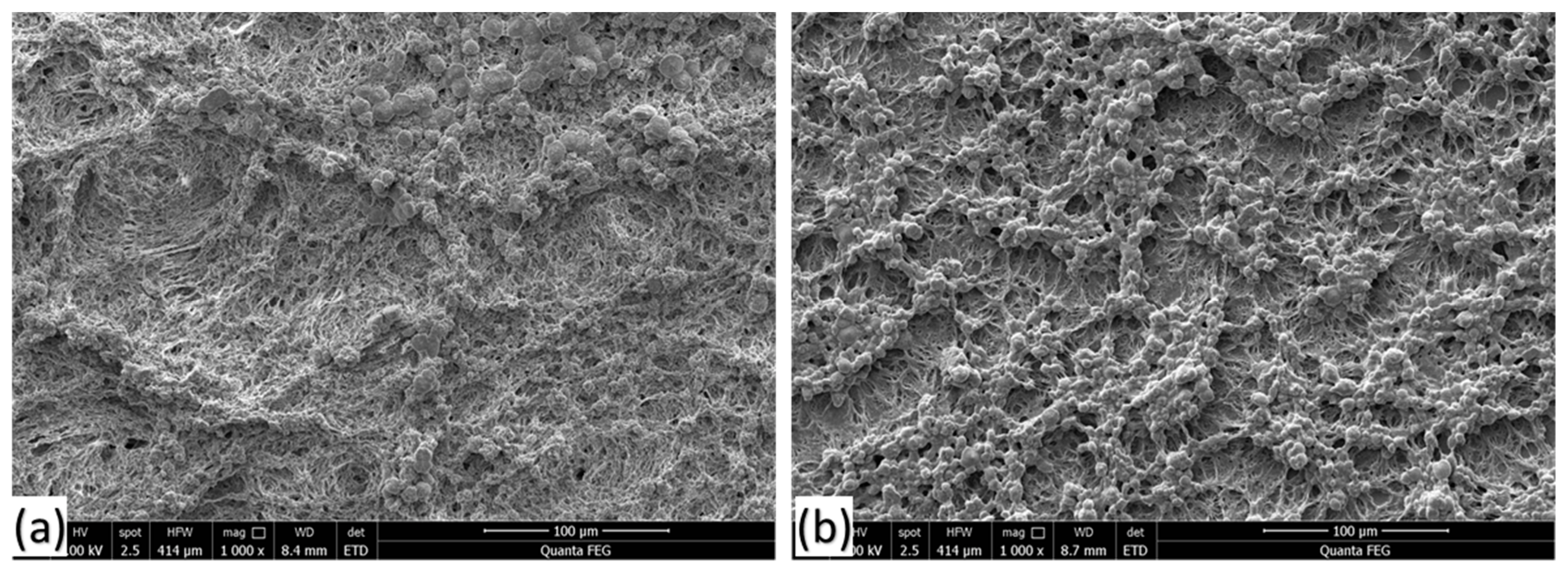 Polymers 14 04867 g001 Polymers 14 04867 g001