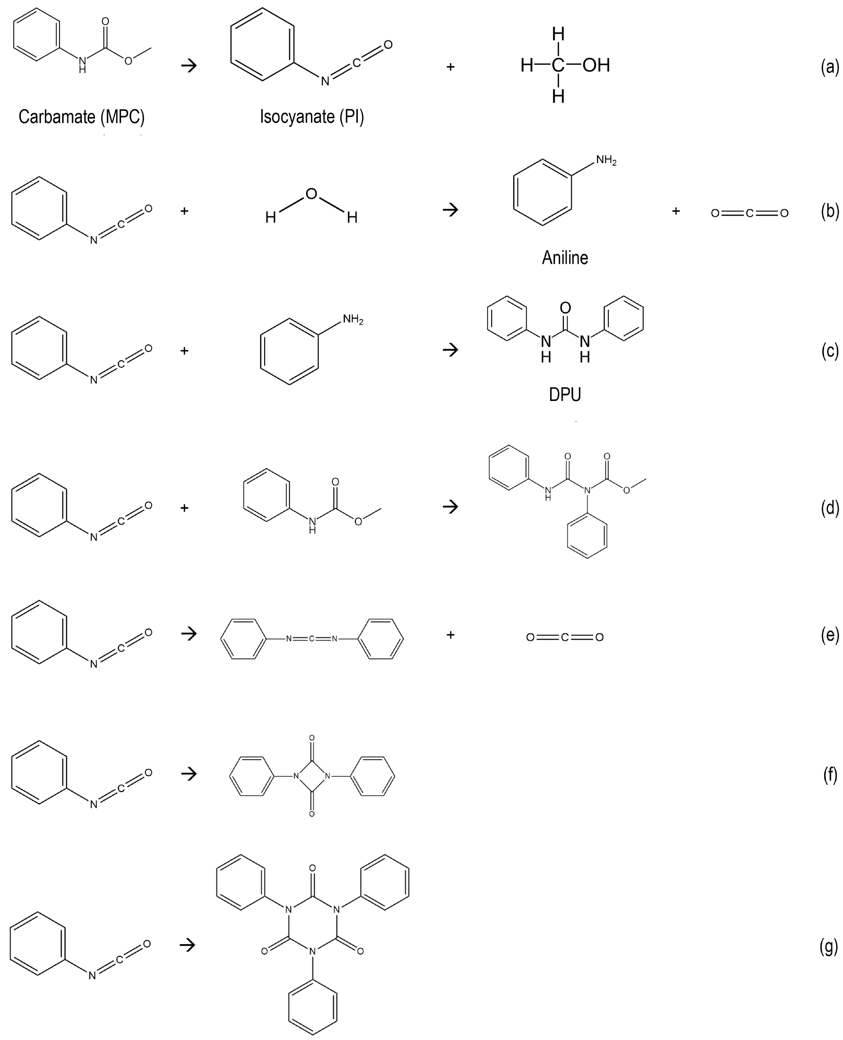 Polymers 14 04869 sch002 Polymers 14 04869 sch002