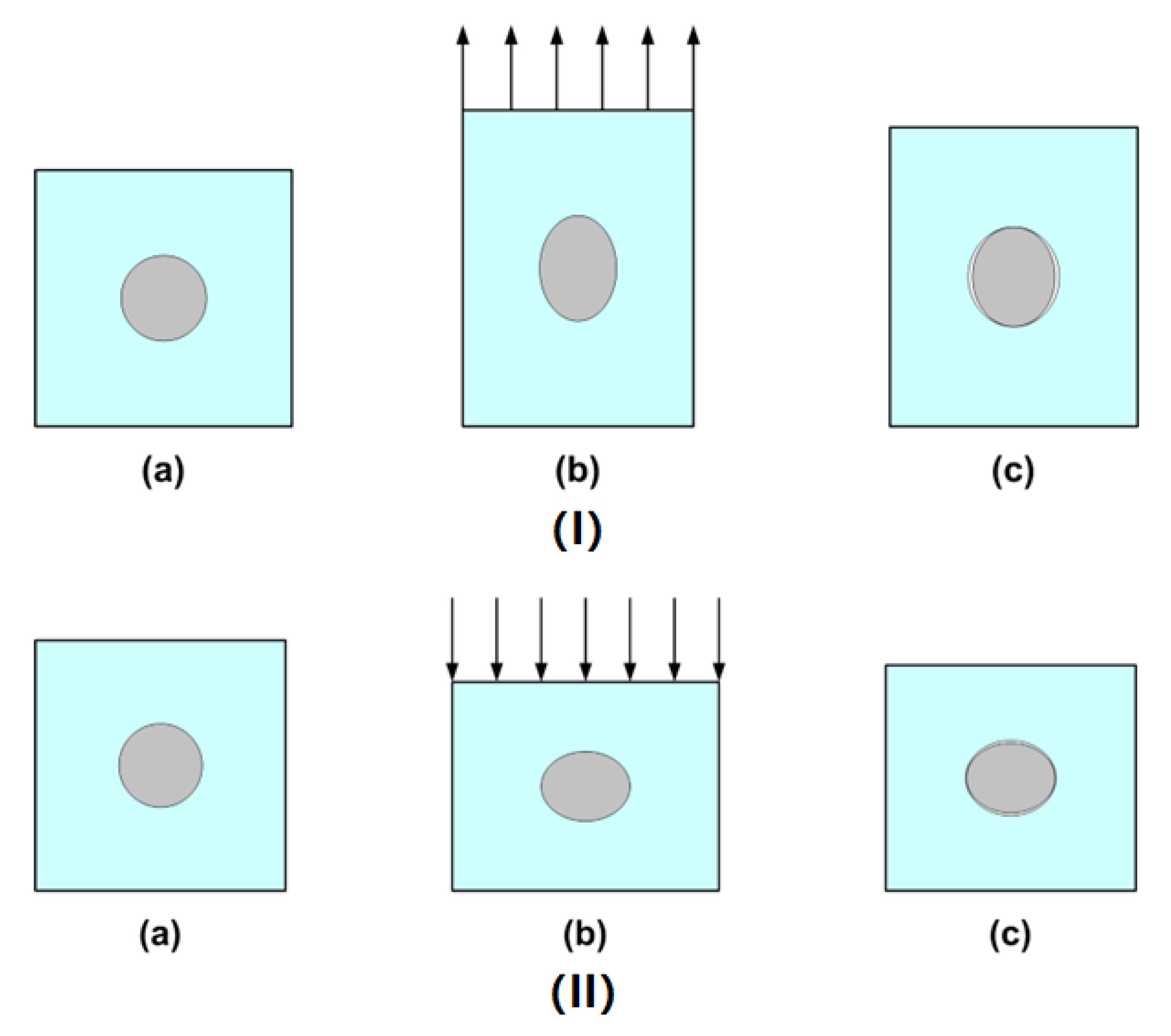 Polymers 14 04872 g007 Polymers 14 04872 g007