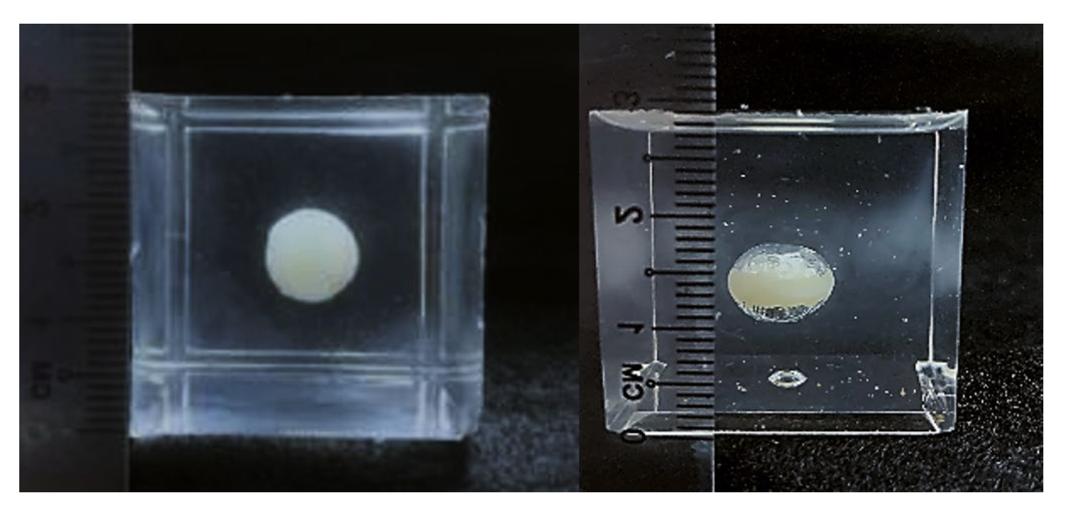 Polymers 14 04872 g008 Polymers 14 04872 g008