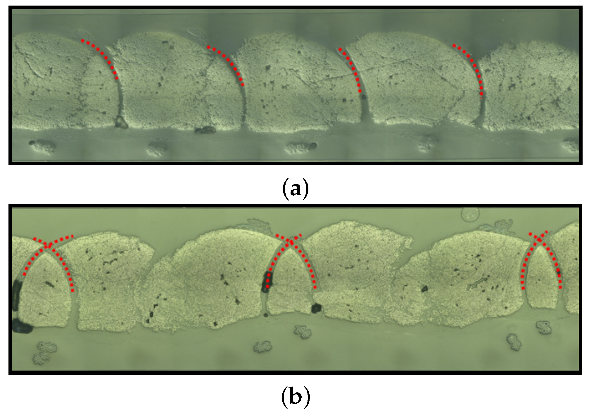 Polymers 14 04873 g007