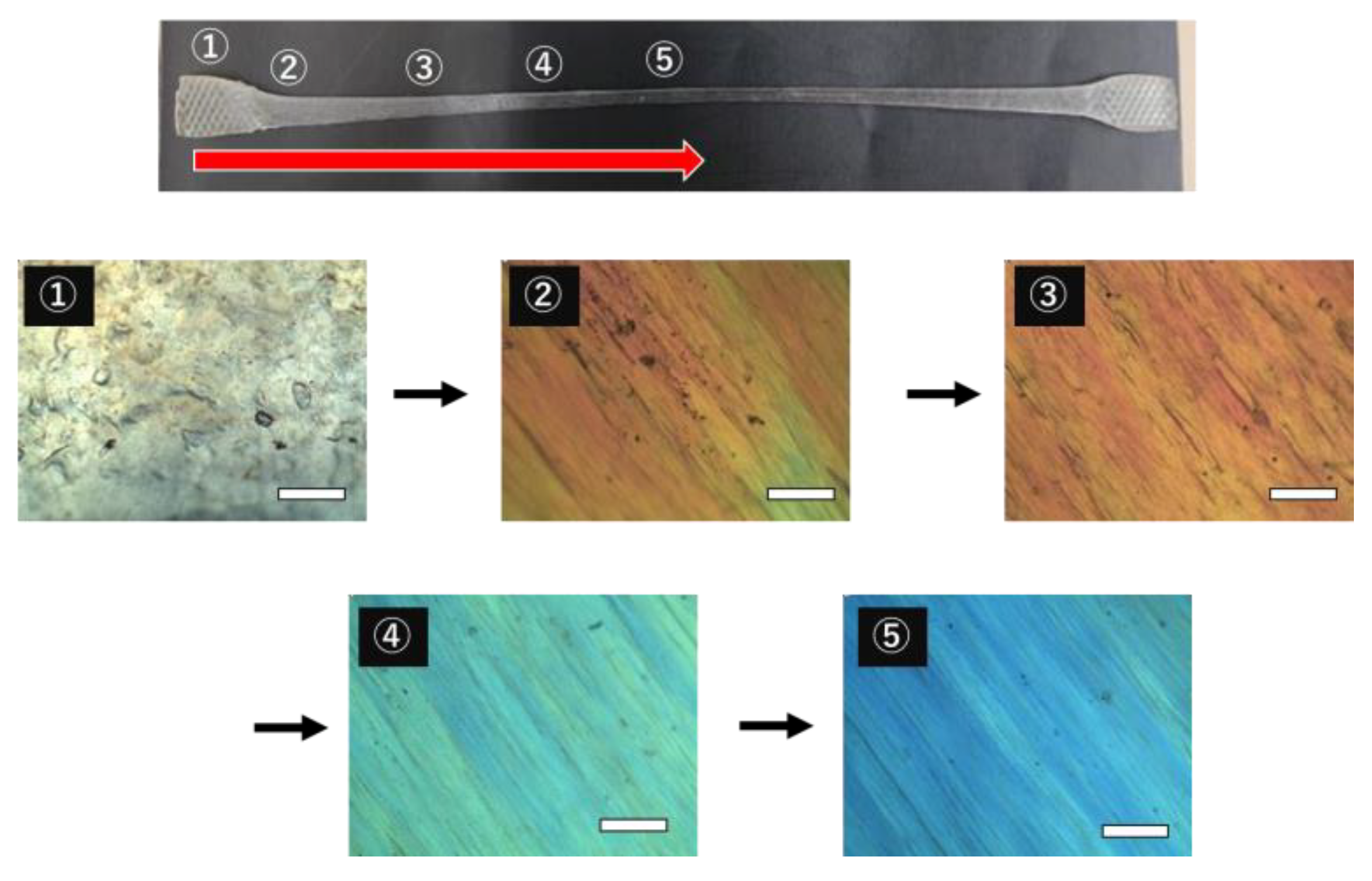 Polymers 14 04876 g006