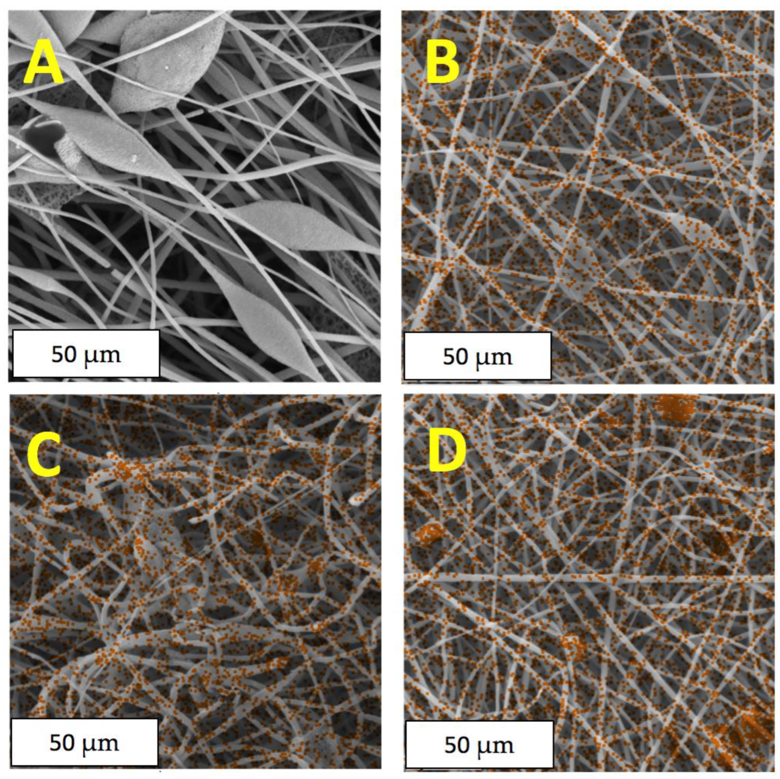 Polymers 14 04878 g004
