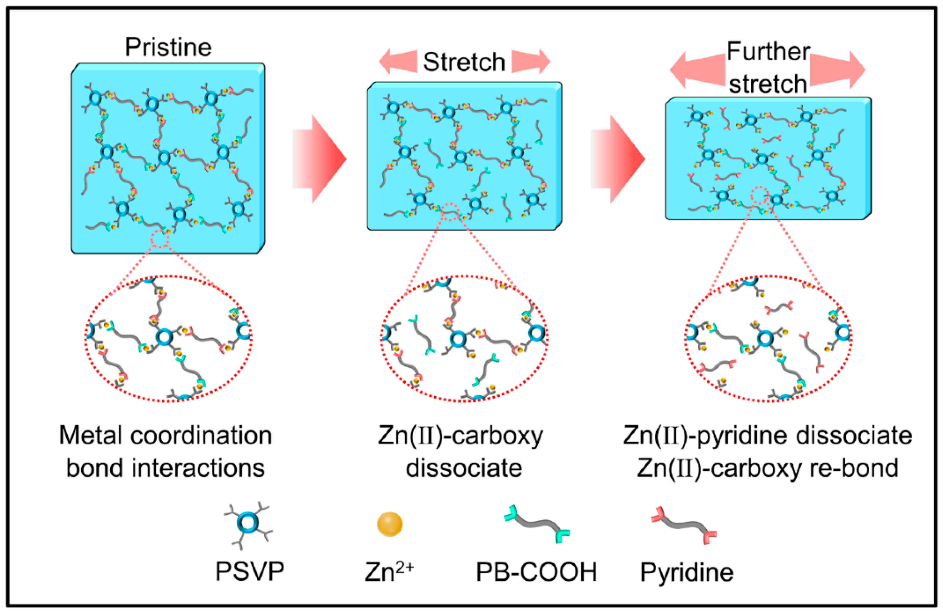 Polymers 14 04879 g007 Polymers 14 04879 g007